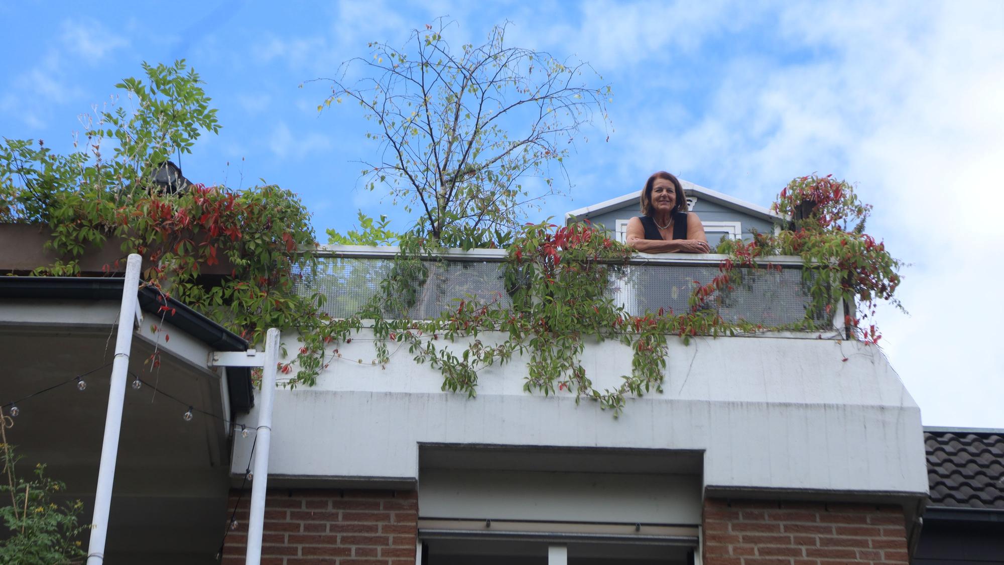Blick von unten auf die Junkersdorfer Dachterrasse von Irene Wülfrath-Wiedenmann.