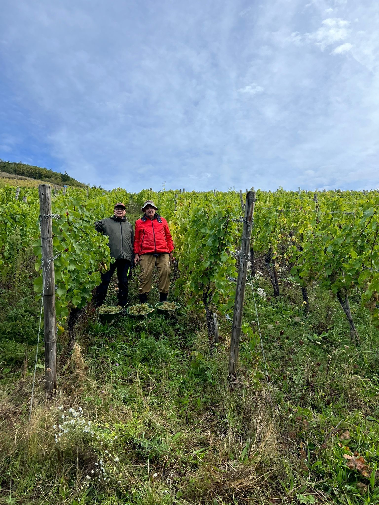 Das Foto zeigt Dirk Weikert (links) und Reiner Galunder im Herbst bei der Arbeit im Weinberg an der Mosel.