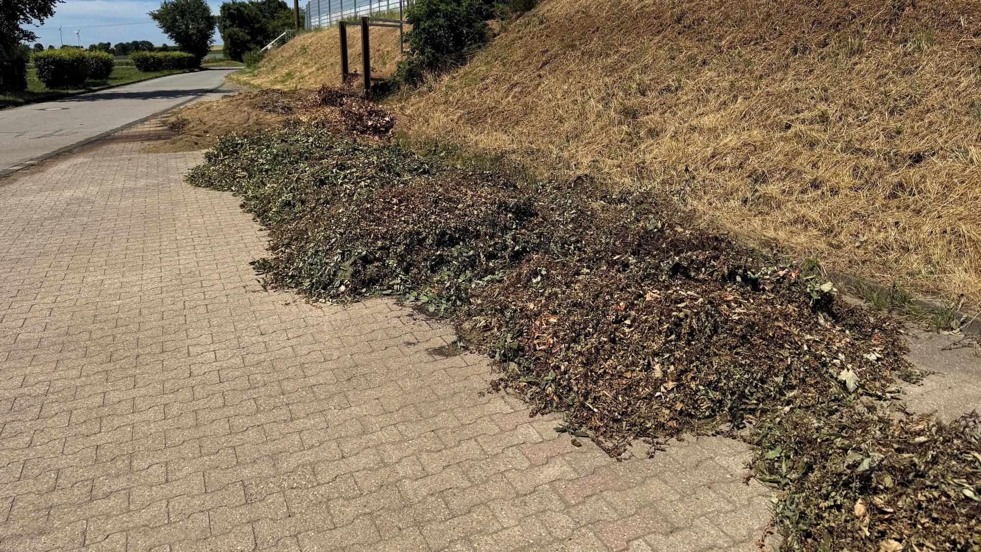 Grünabfälle liegen auf einer gepflasterten Fläche.