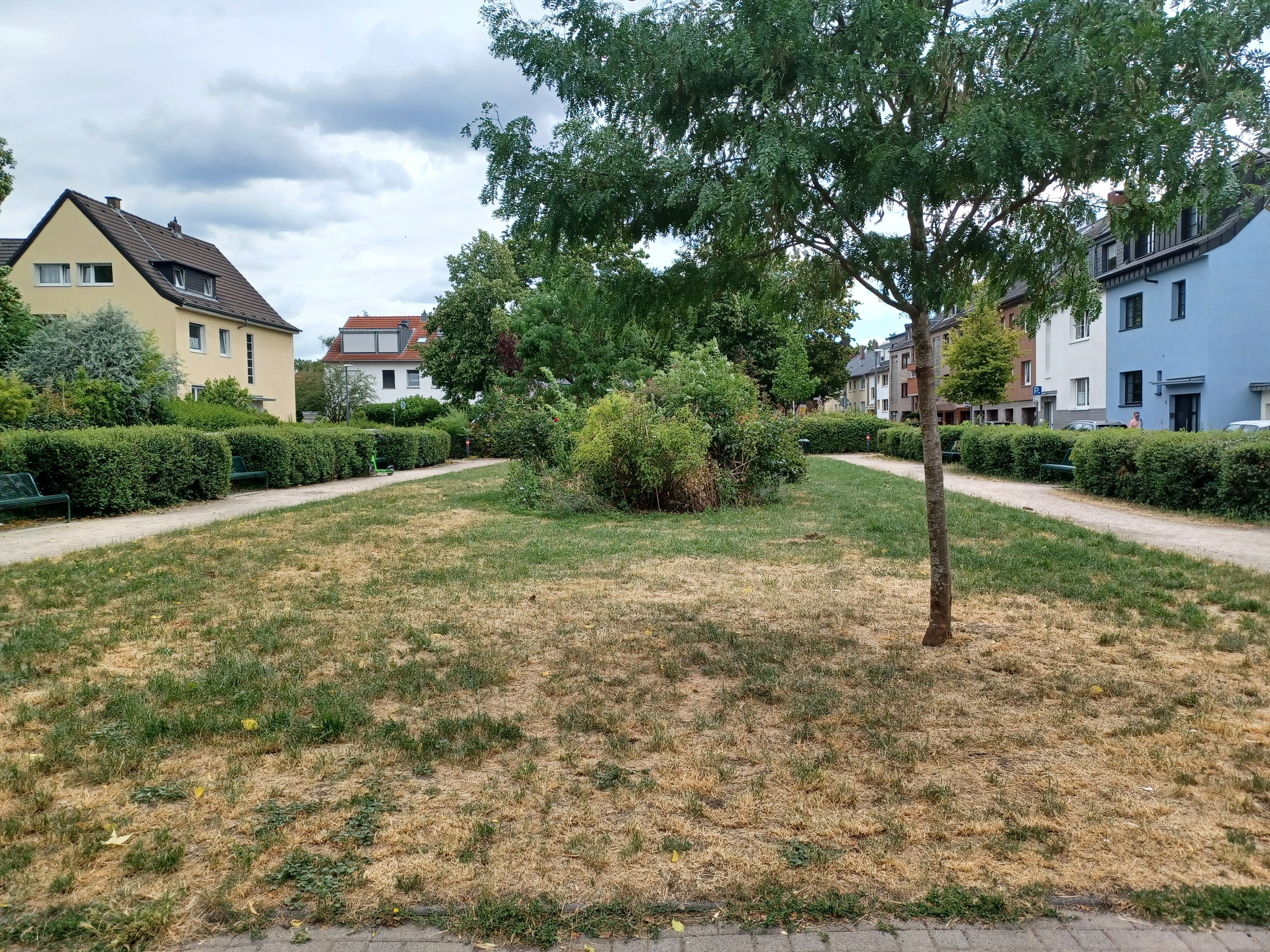 Auf der Grünfläche im Afrikaveedel, neben der zukünftigen Manga-Bell-Straße, findet das geplante Denkmal Platz.