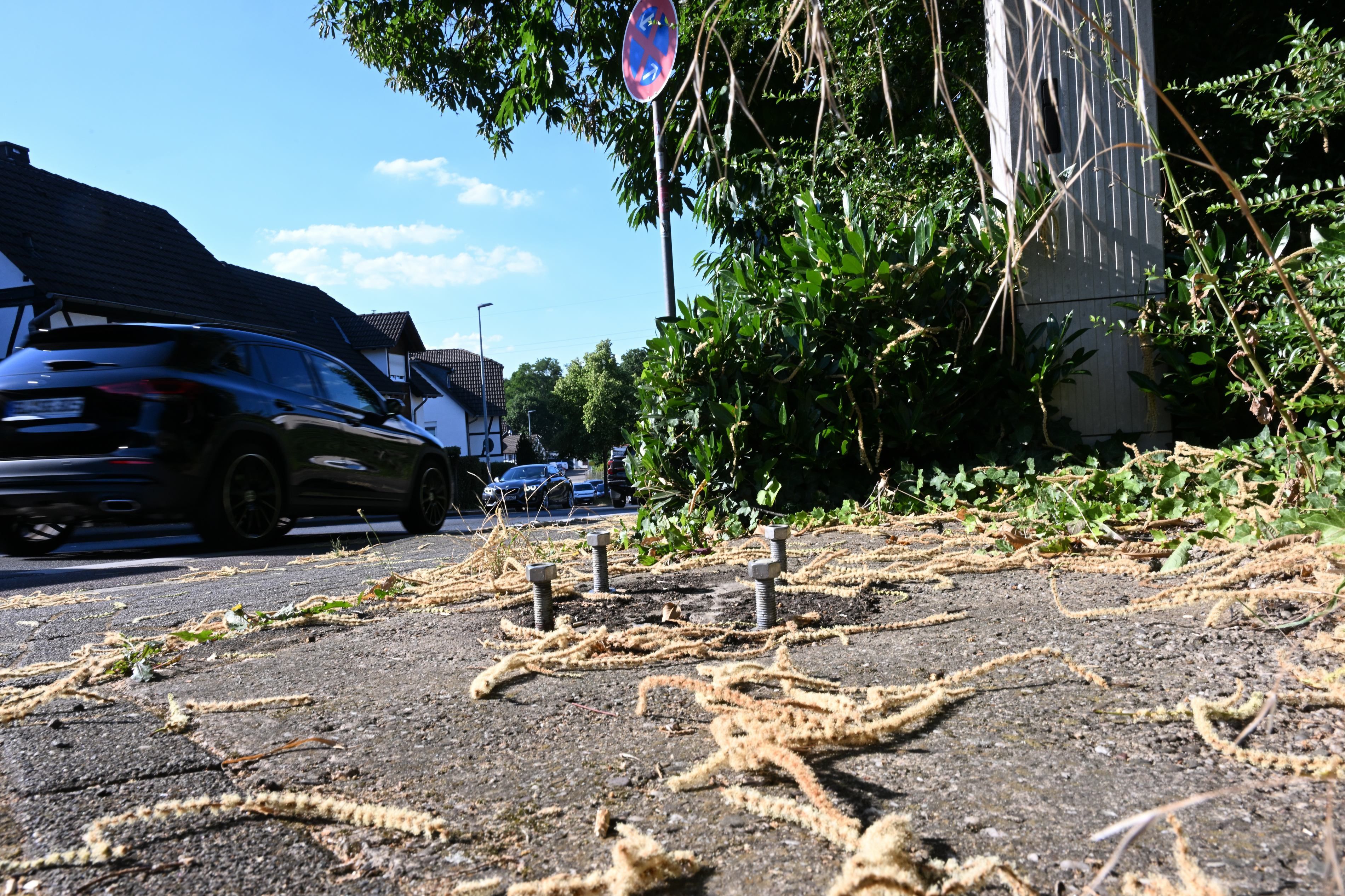 Vier dicke Schrauben im Boden neben einer Straße.