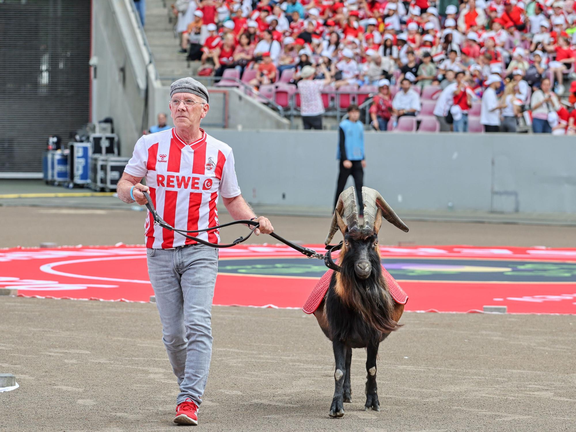 Hennes wird durch das FC-Stadion geführt.