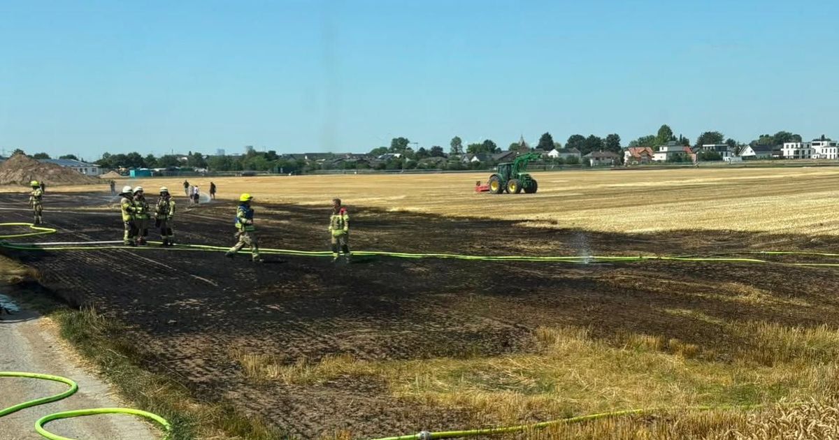 Drought continues: 4,000 square meter field in Pulheim destroyed by fire