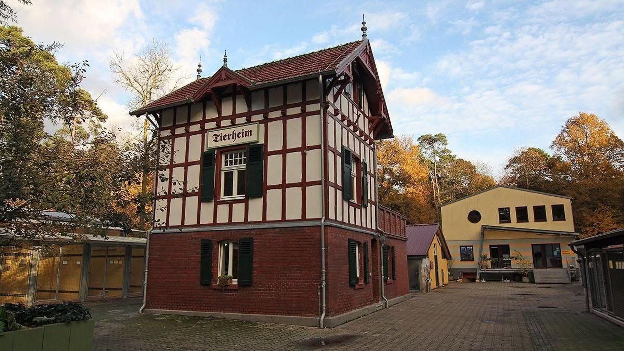 Das Tierheim Köln-Dellbrück berichtet regelmäßig über seine Arbeit in den sozialen Medien.