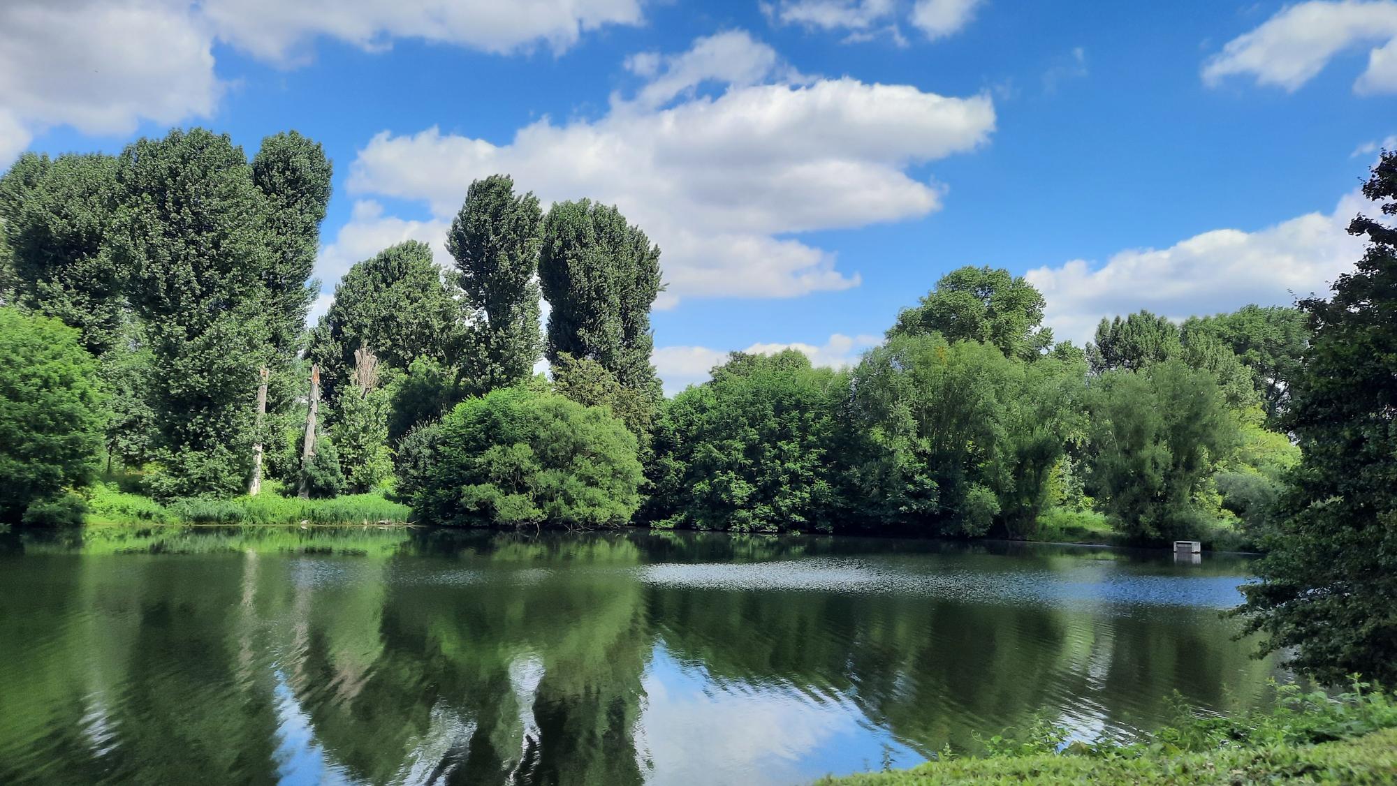 Spazieren am Wasser an der Groov in Köln-Zündorf