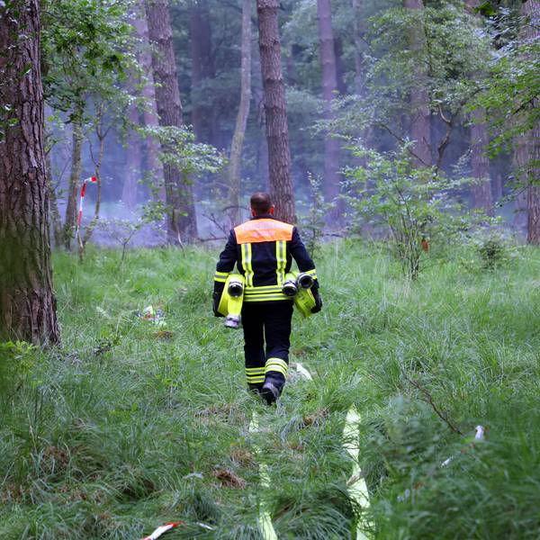 Ein Feuerwehrmann trägt Schläuche in einen Wald. Im Hintergrund ist Qualm zu sehen.