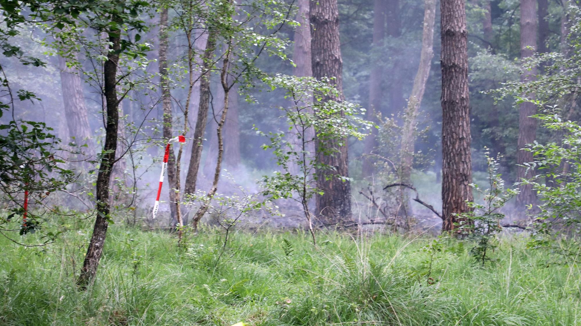 Rauchentwicklung im brennenden Wald der Wahner Heide.