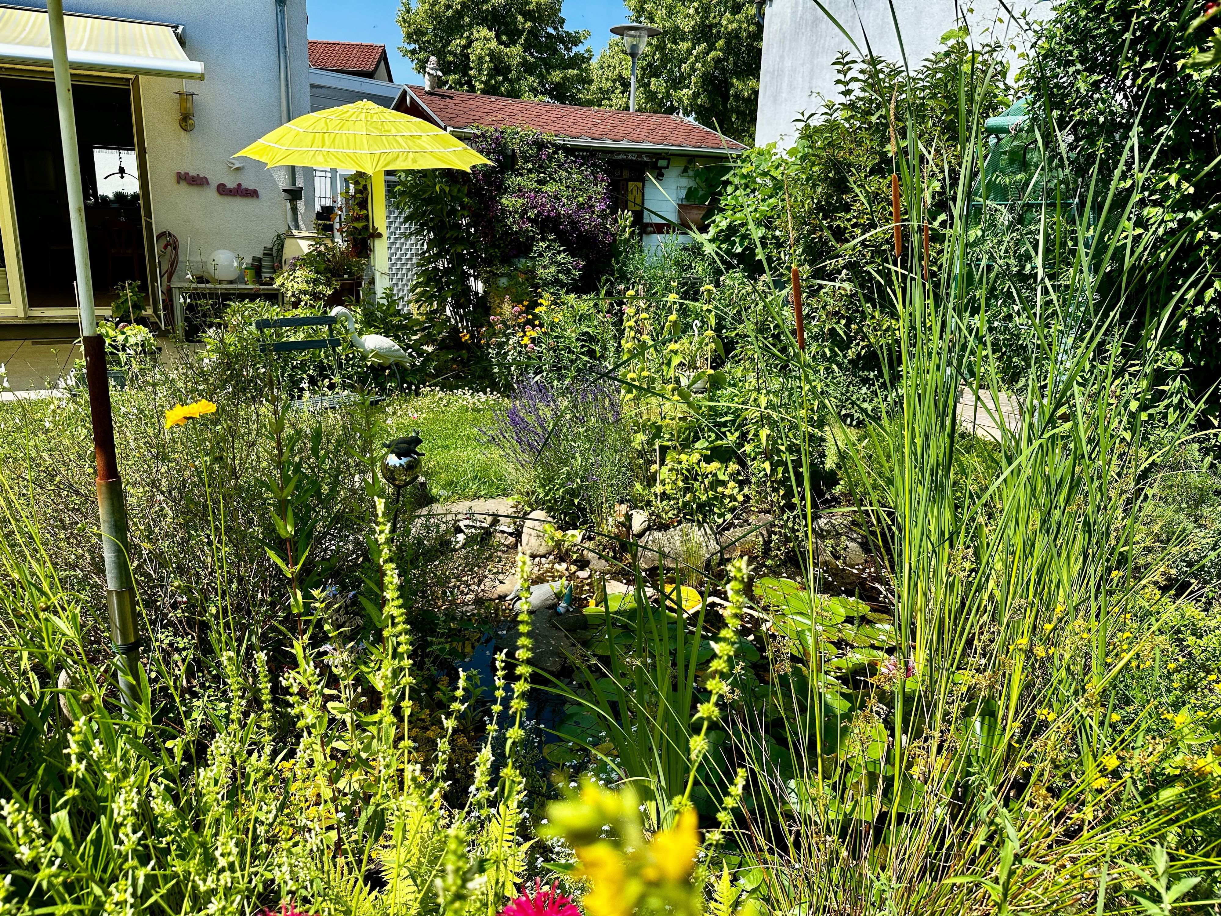 Blick in einen blühenden Garten mit gelbem Sonnenschirm