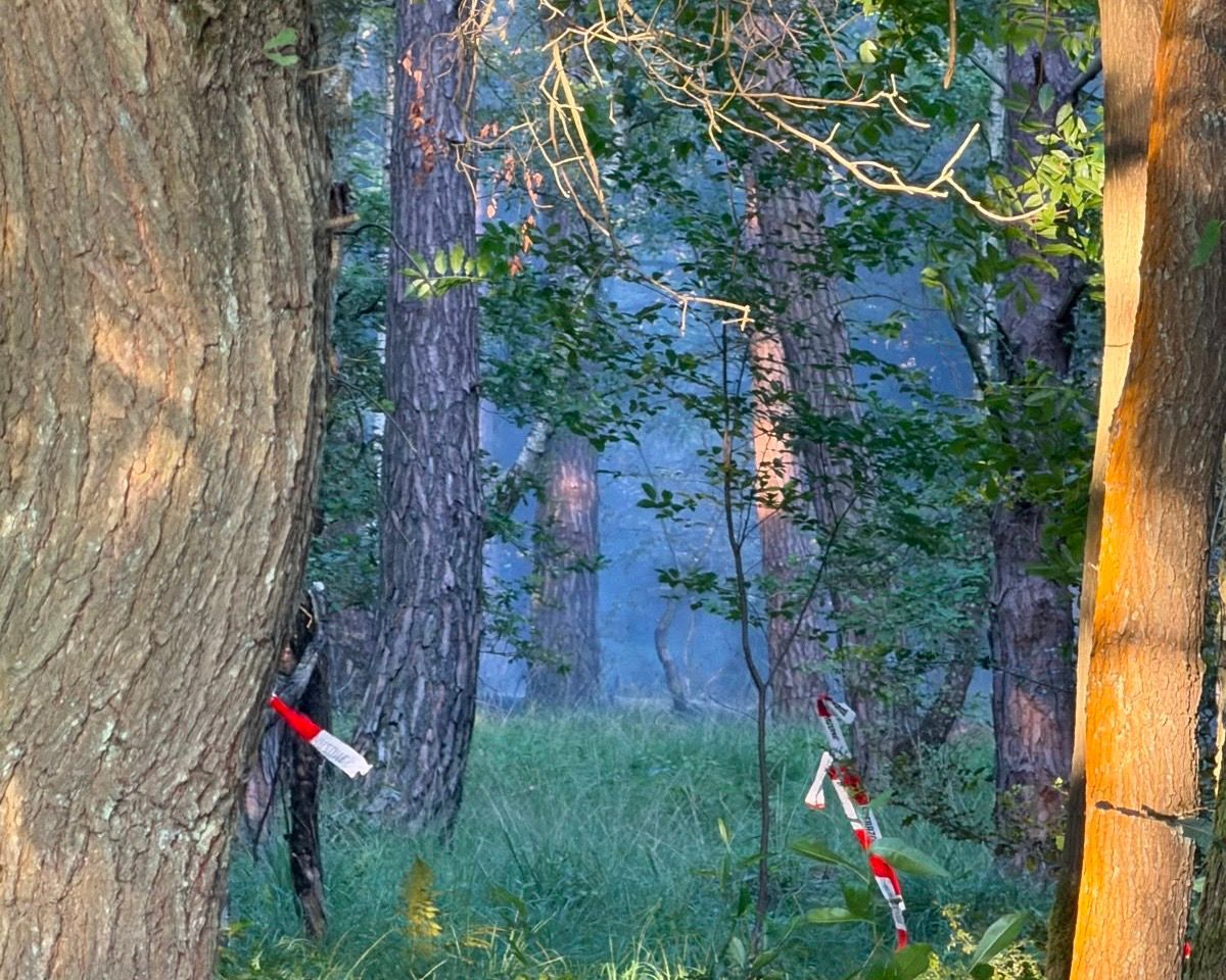 Rauchentwicklung im brennenden Wald der Wahner Heide.