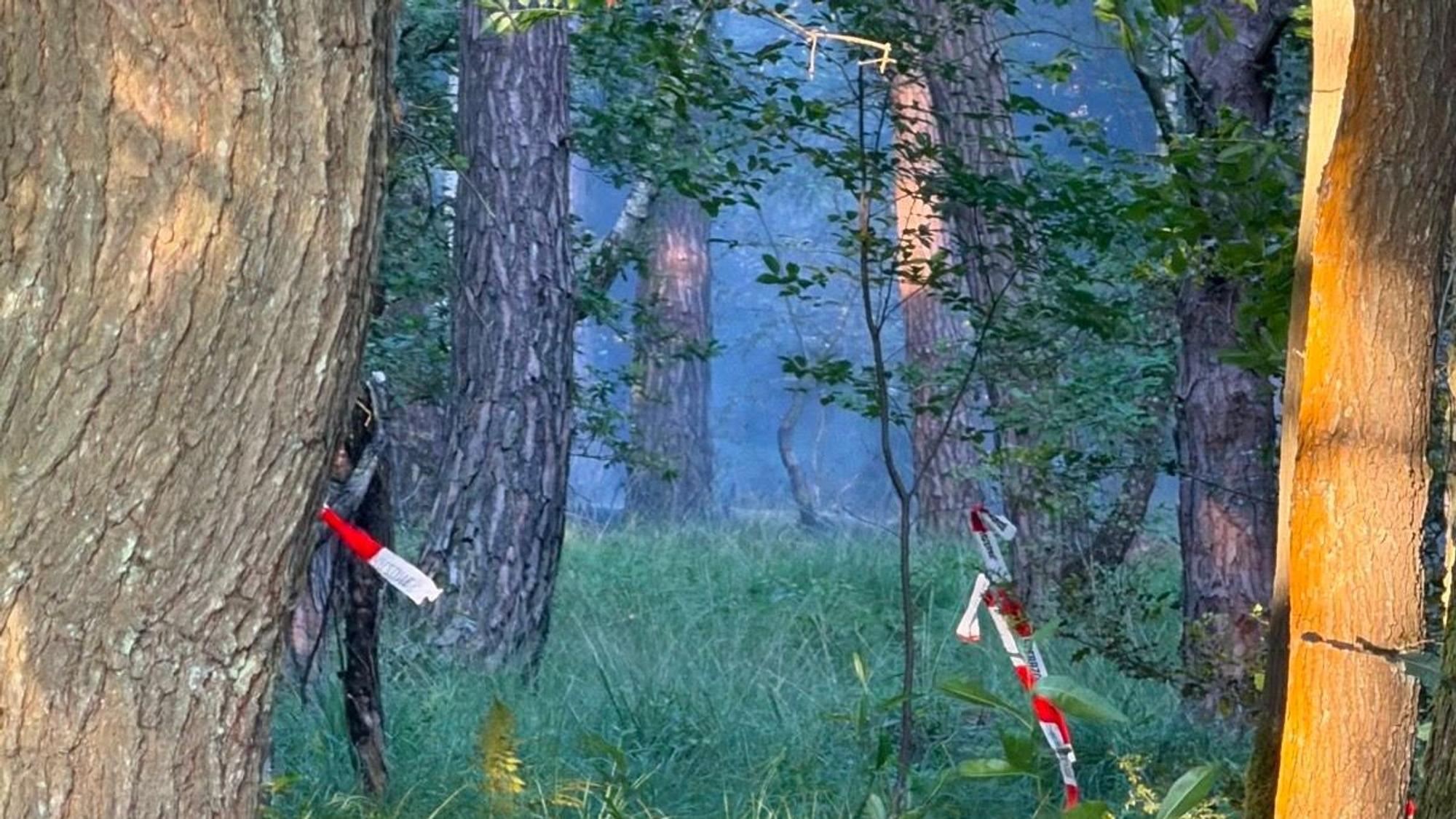 Rauchentwicklung im brennenden Wald der Wahner Heide.
