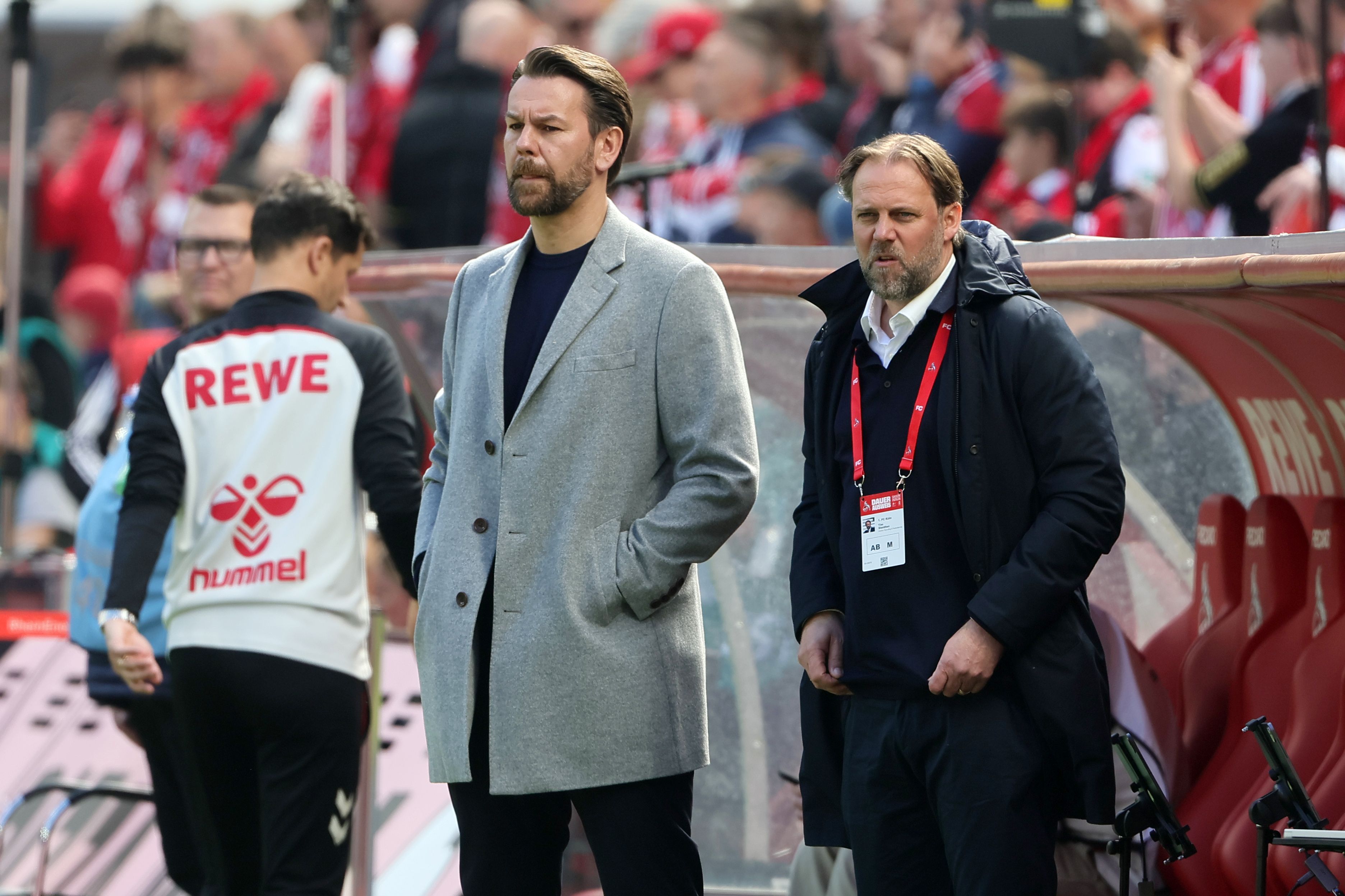 1. FC Köln vs. Bayer Leverkusen, 31. Spieltag, 25.04.2026, 15.30 Uhr, von links: Thomas Kessler, Tim Steidten (1. FC Köln) , Bild: Herbert Bucco
