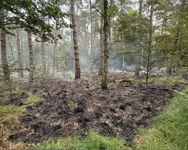 Brandstelle in der Wahner Heide.