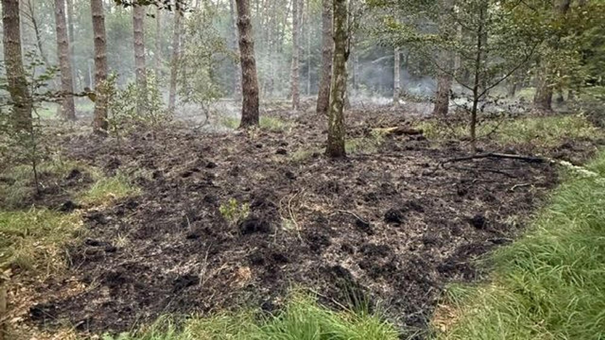 Brandstelle in der Wahner Heide.