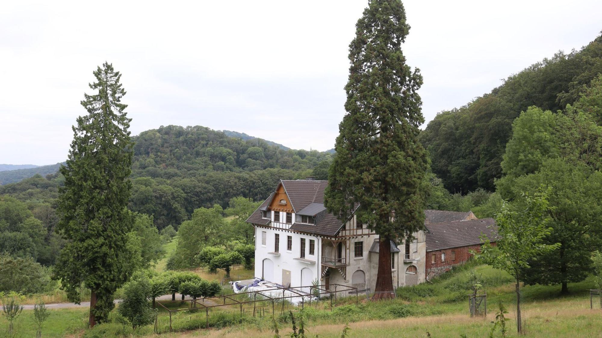 Ein historisches Gebäude, umgeben von Wald und Wiesen.