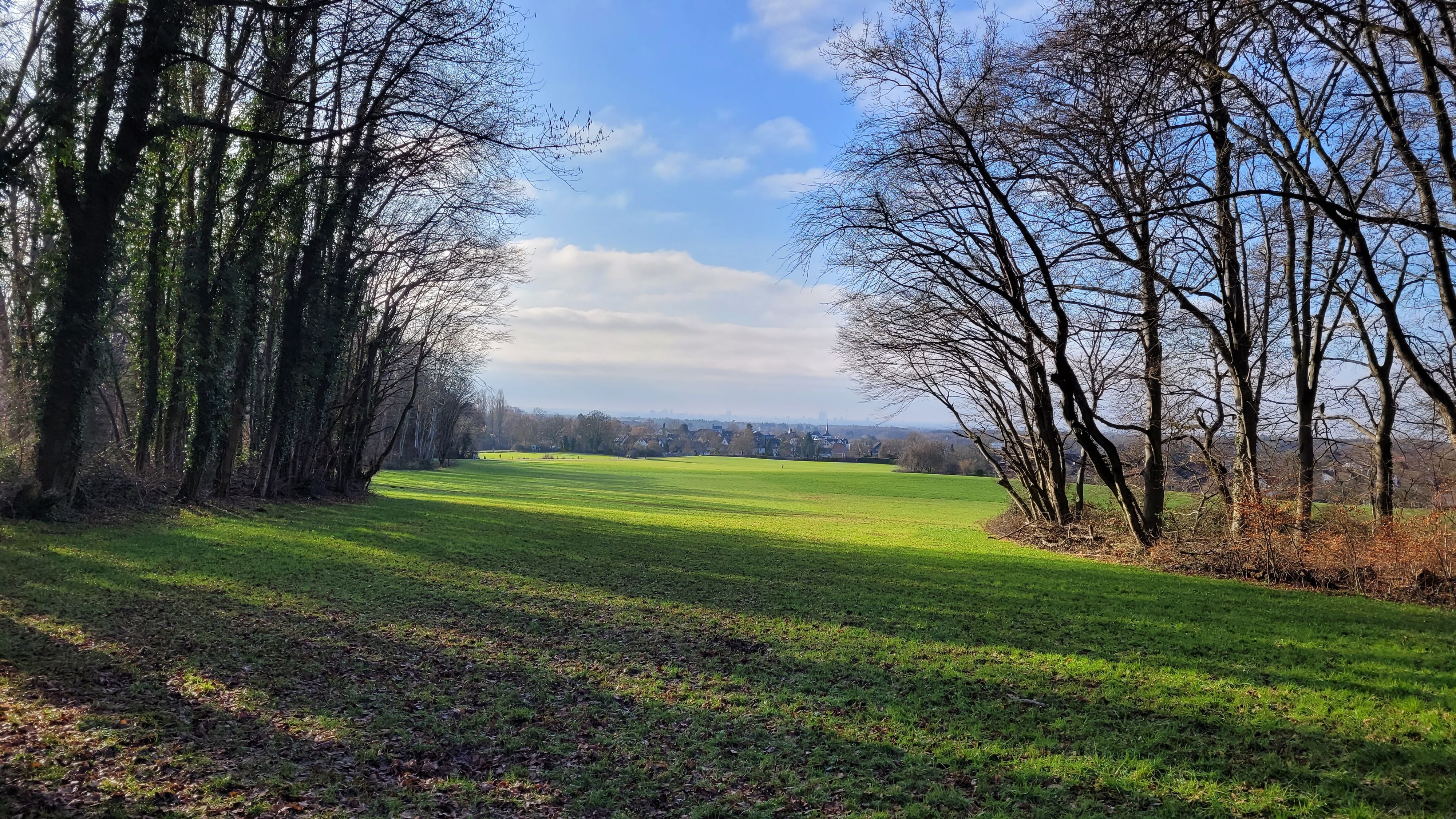 Das Kölner Fenster in Nußbaum