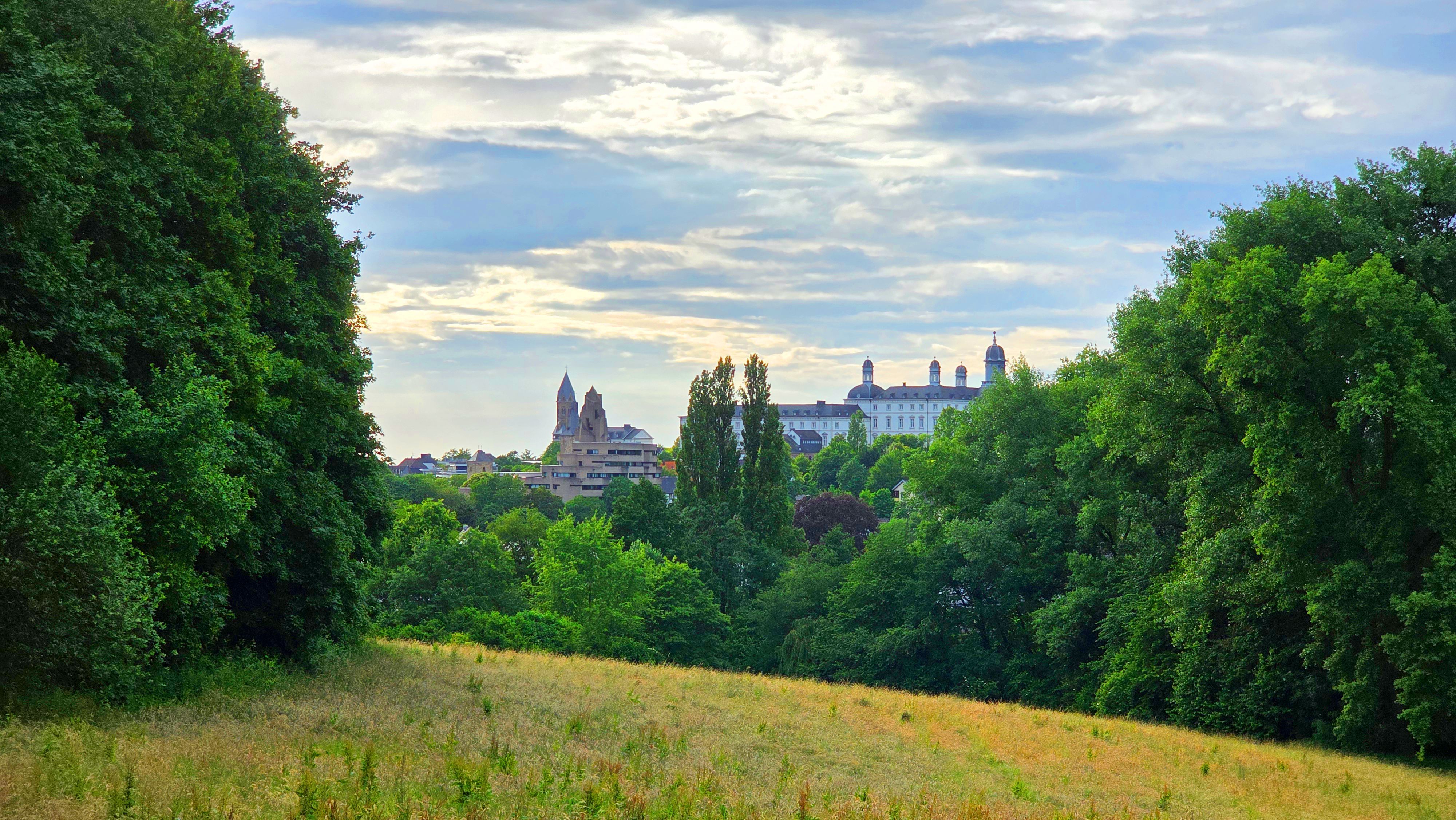 Hinter einem Wald sind Schloss und Rathaus Bensberg zu sehen.