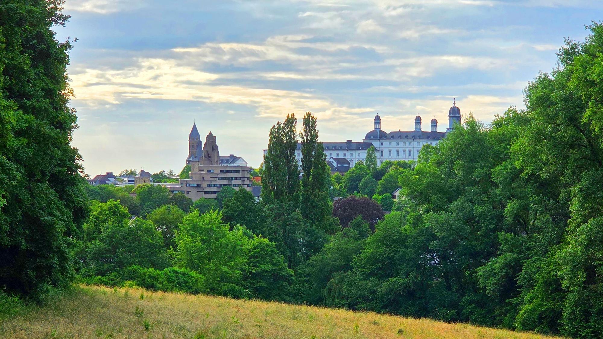 Hinter einem Wald sind Schloss und Rathaus Bensberg zu sehen.