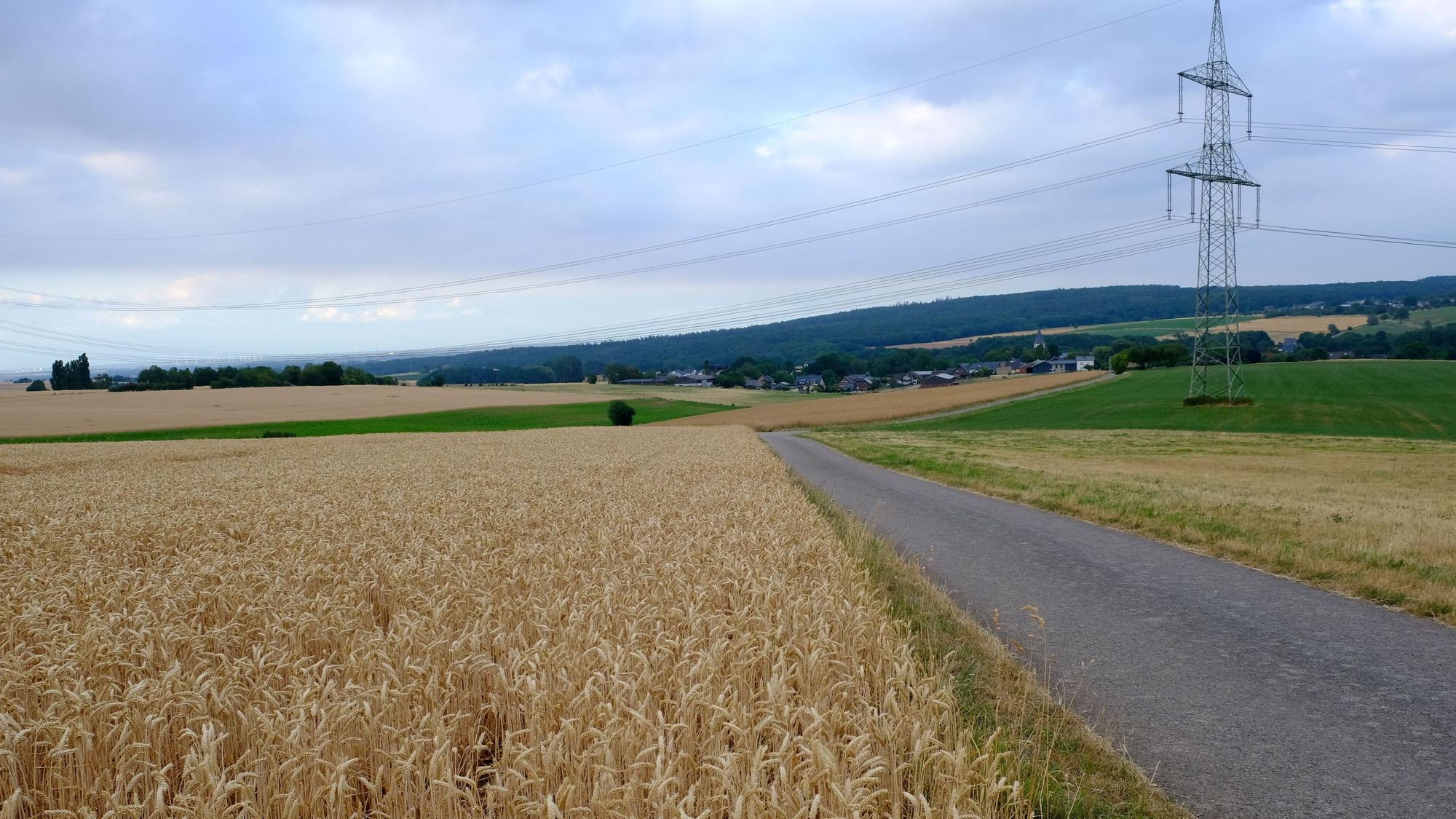 Das Flurstück Judenkirchhof wird heute landwirtschaftlich genutzt (aktuell: Weizenanbau).