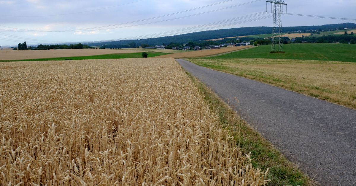 “Disturbing the peace of the dead”: Wind power opponents file criminal ...