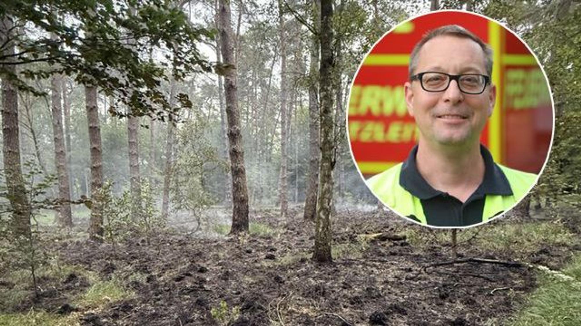 Das am Montag und Dienstag (6./7. Juli) abgebrannte Waldstück und ein montiertes Porträt von Rösraths Feuerwehrchef und Einsatzleiter Bastian Eltner.