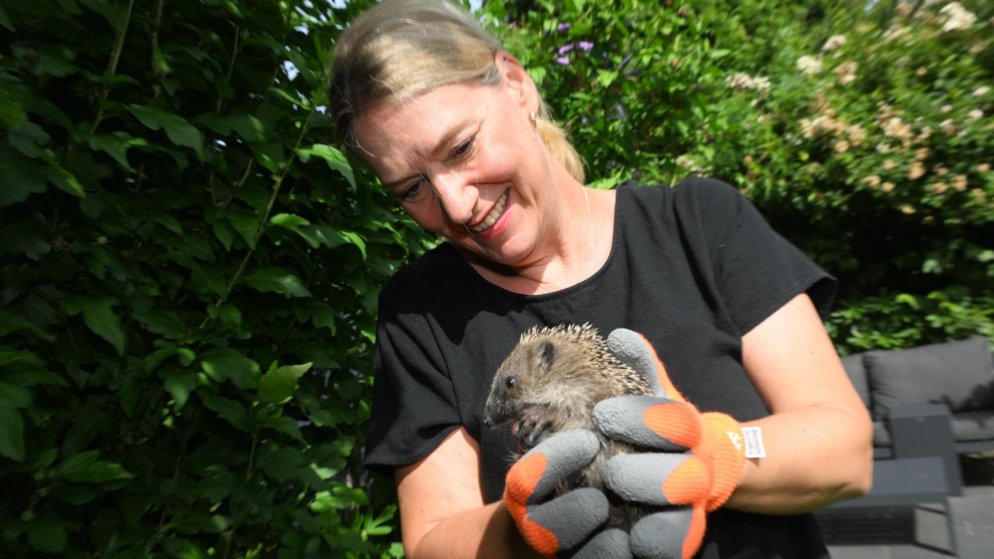 Eine Frau steht im Garten und hält einen kleinen Igel in den Händen. Sie trägt dicke Handschuhe.