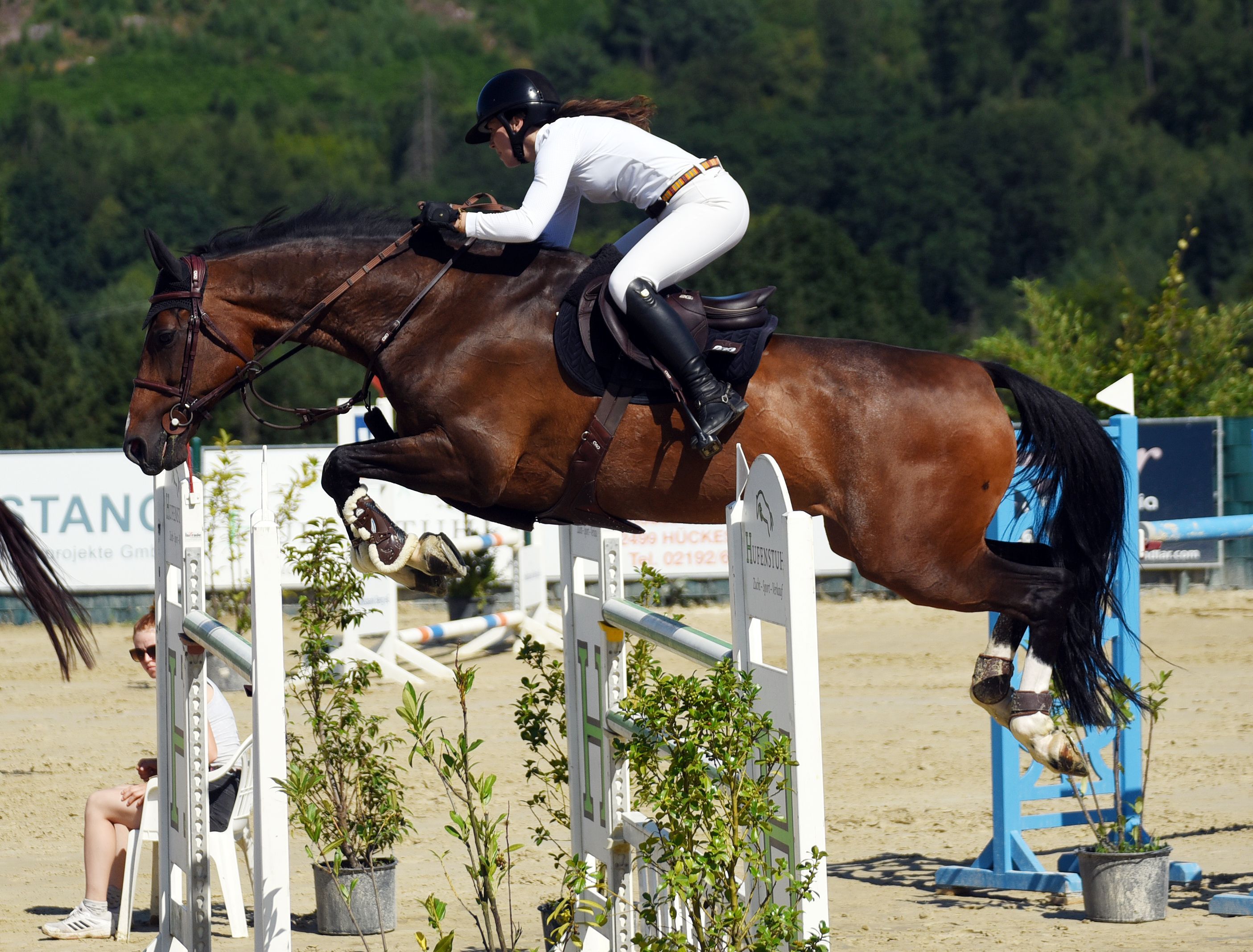 Szene aus dem Springreiten