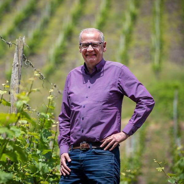 Zwischen den Riesling-Reben: Abseits des Fernsehstudios ist Günther Jauch gerne auf seinem Weingut an der Saar. (Archivbild)