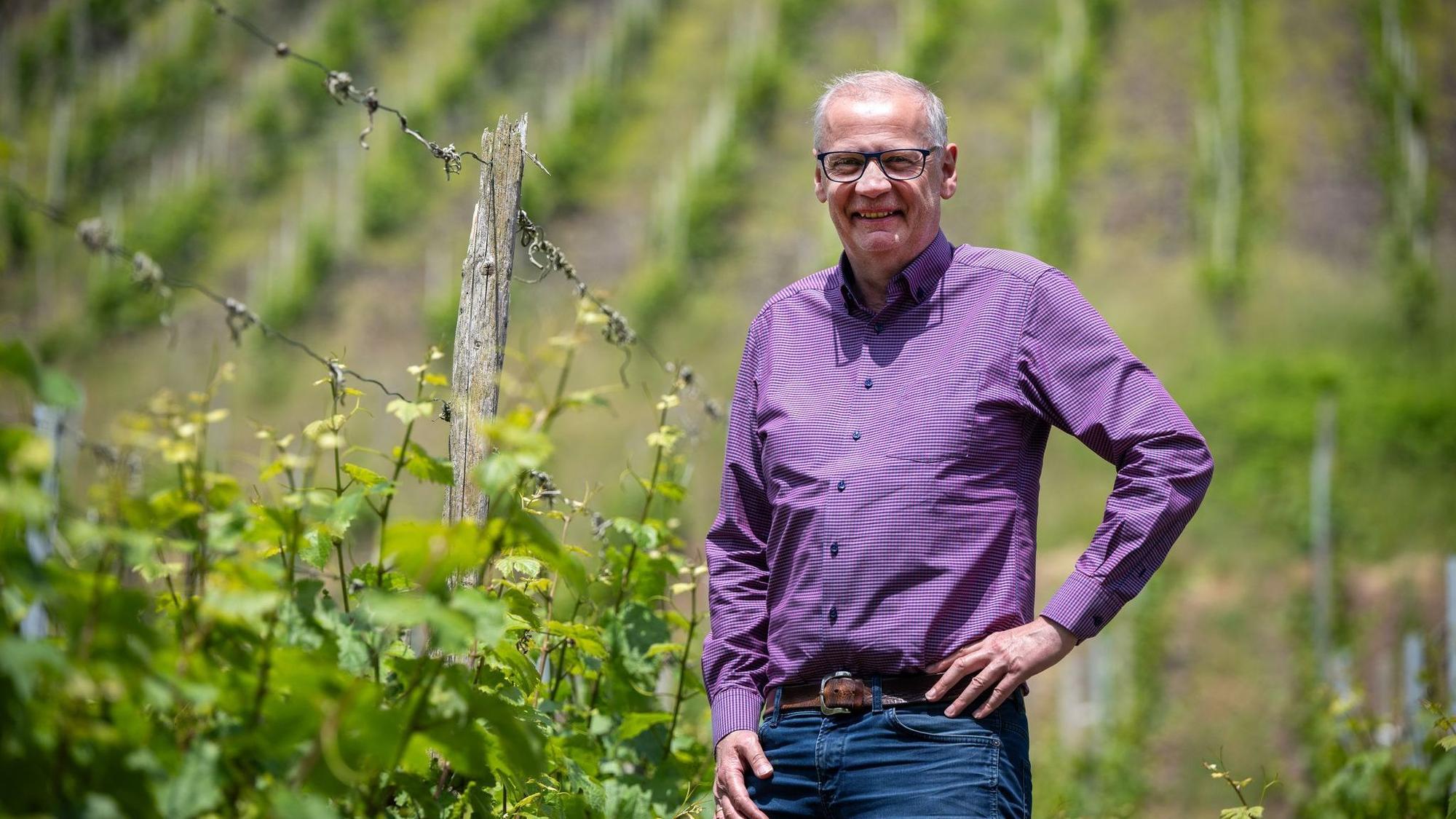 Zwischen den Riesling-Reben: Abseits des Fernsehstudios ist Günther Jauch gerne auf seinem Weingut an der Saar. (Archivbild)