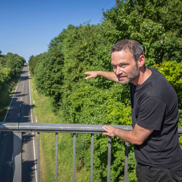 Schmitz und Mandl blicken von einer Brücke auf die den Berg hinabführende L206.