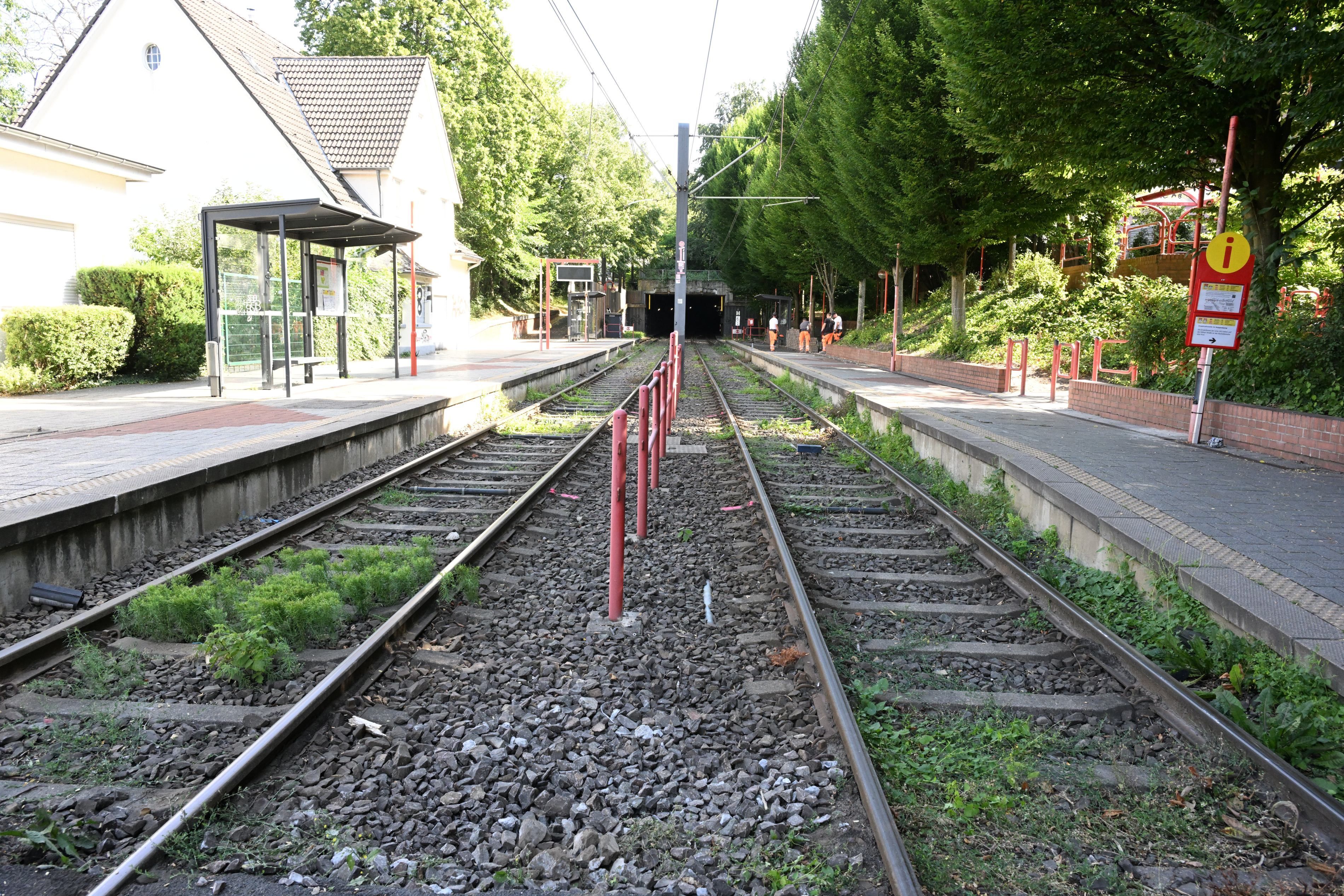 KVB Linie 1 außer Betrieb Sanierungsrbeiten Schienenersatzverkehr