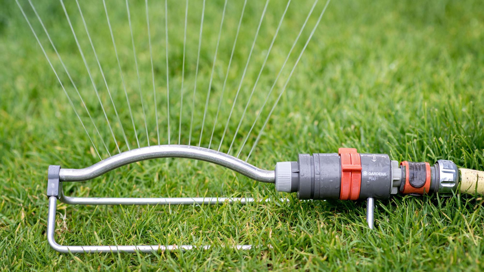 Ein Rasensprenger verteilt Wasser über einer Rasenfläche in einem Garten. Das ist in München nicht mehr erlaubt. (Symbolbild)