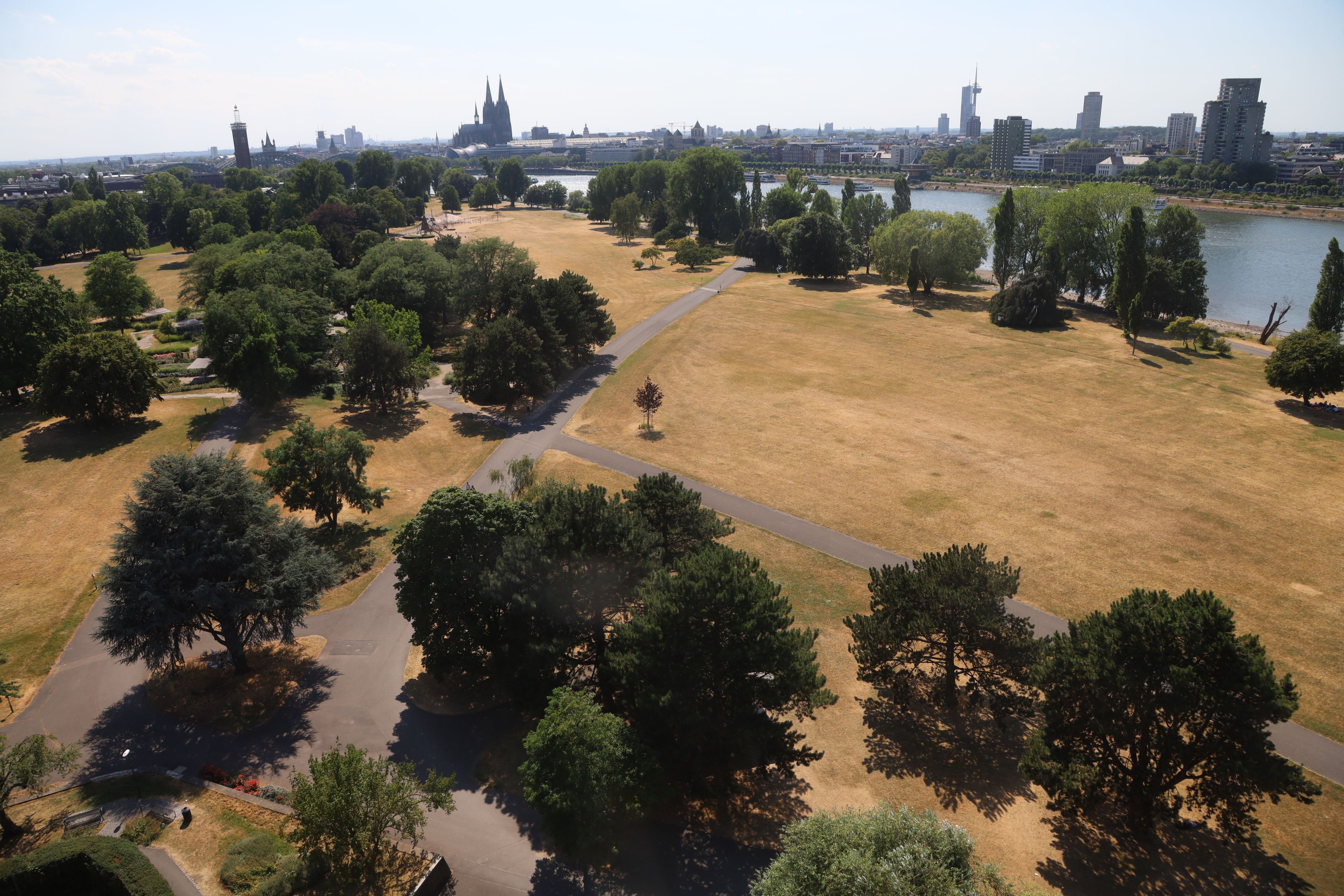 Die Trockenheit ist am Kölner Rheinufer deutlich zu sehen (Bild vom 14. Juli).