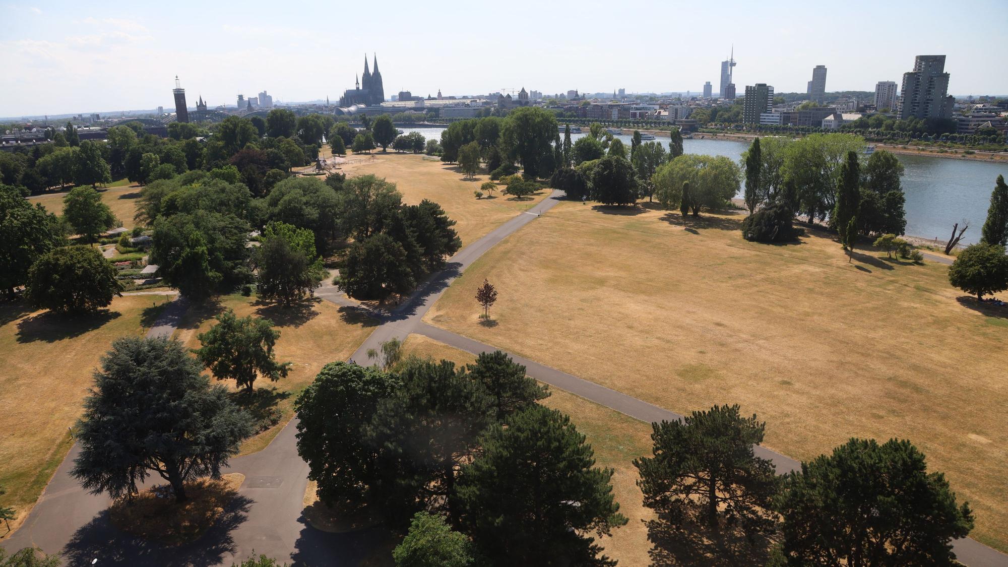 Die Trockenheit ist am Kölner Rheinufer deutlich zu sehen (Bild vom 14. Juli).