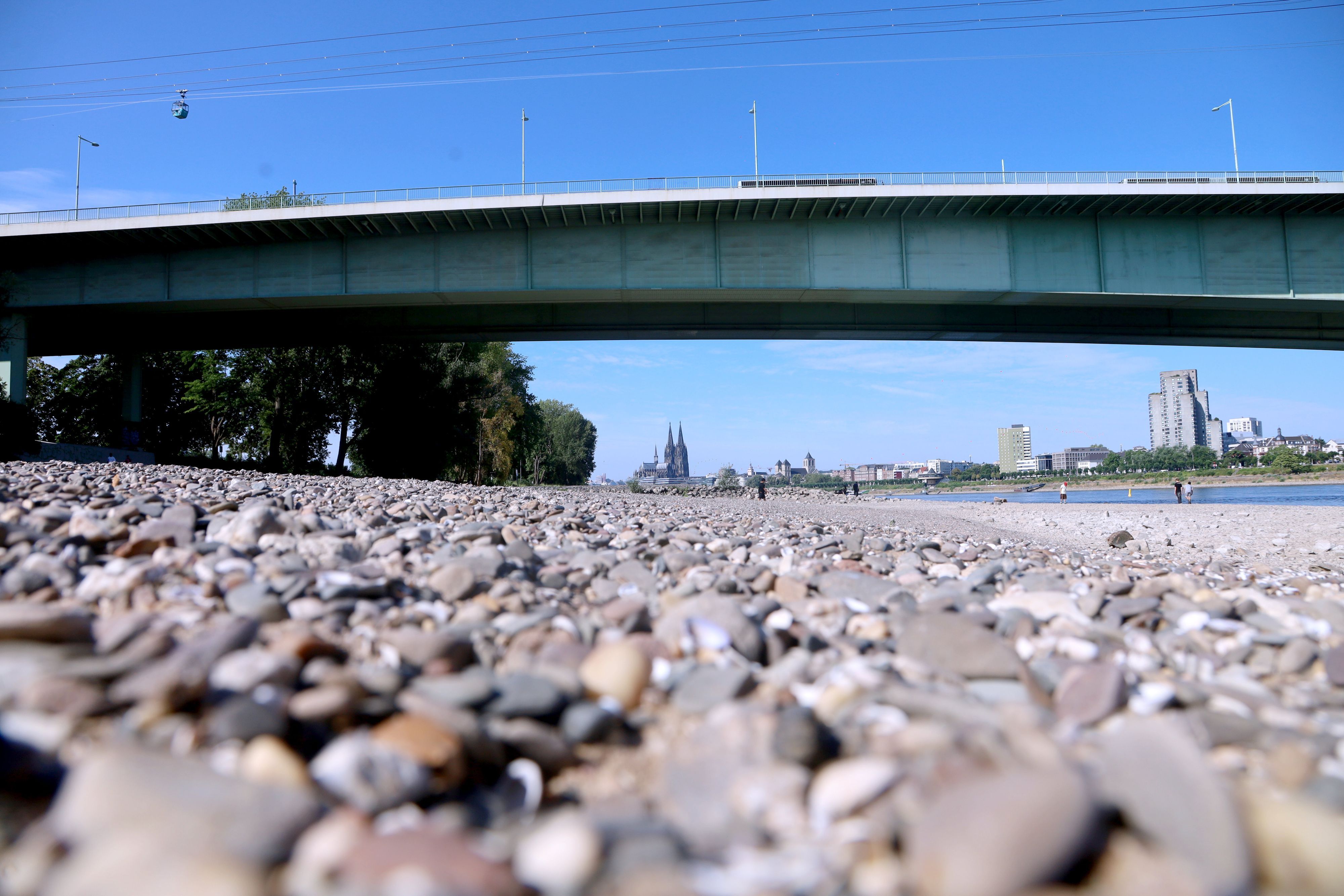 Nach wochenlanger Trockenheit hat sich der Rhein tief in sein Bett zurückgezogen.