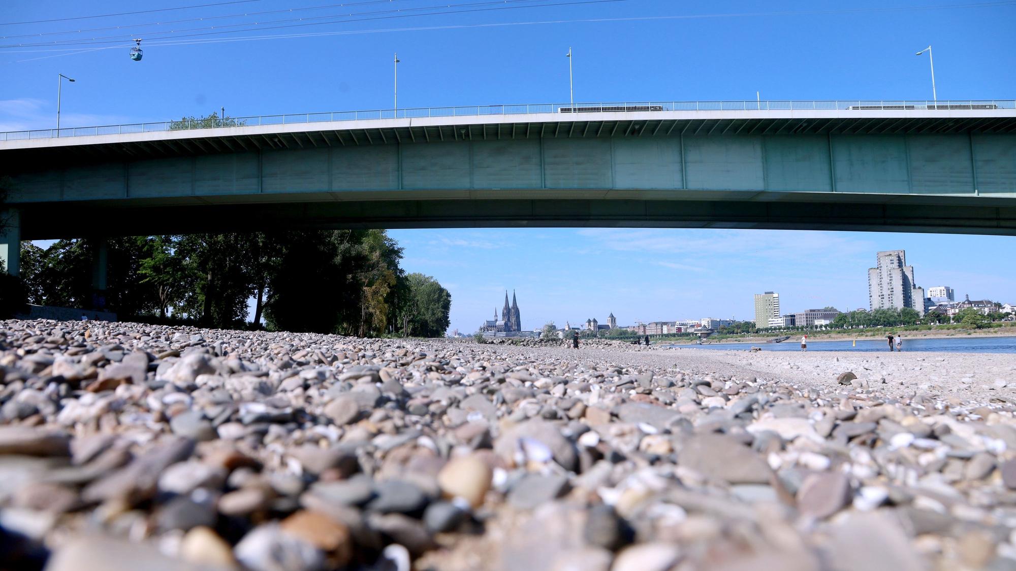 Nach wochenlanger Trockenheit hat sich der Rhein tief in sein Bett zurückgezogen.