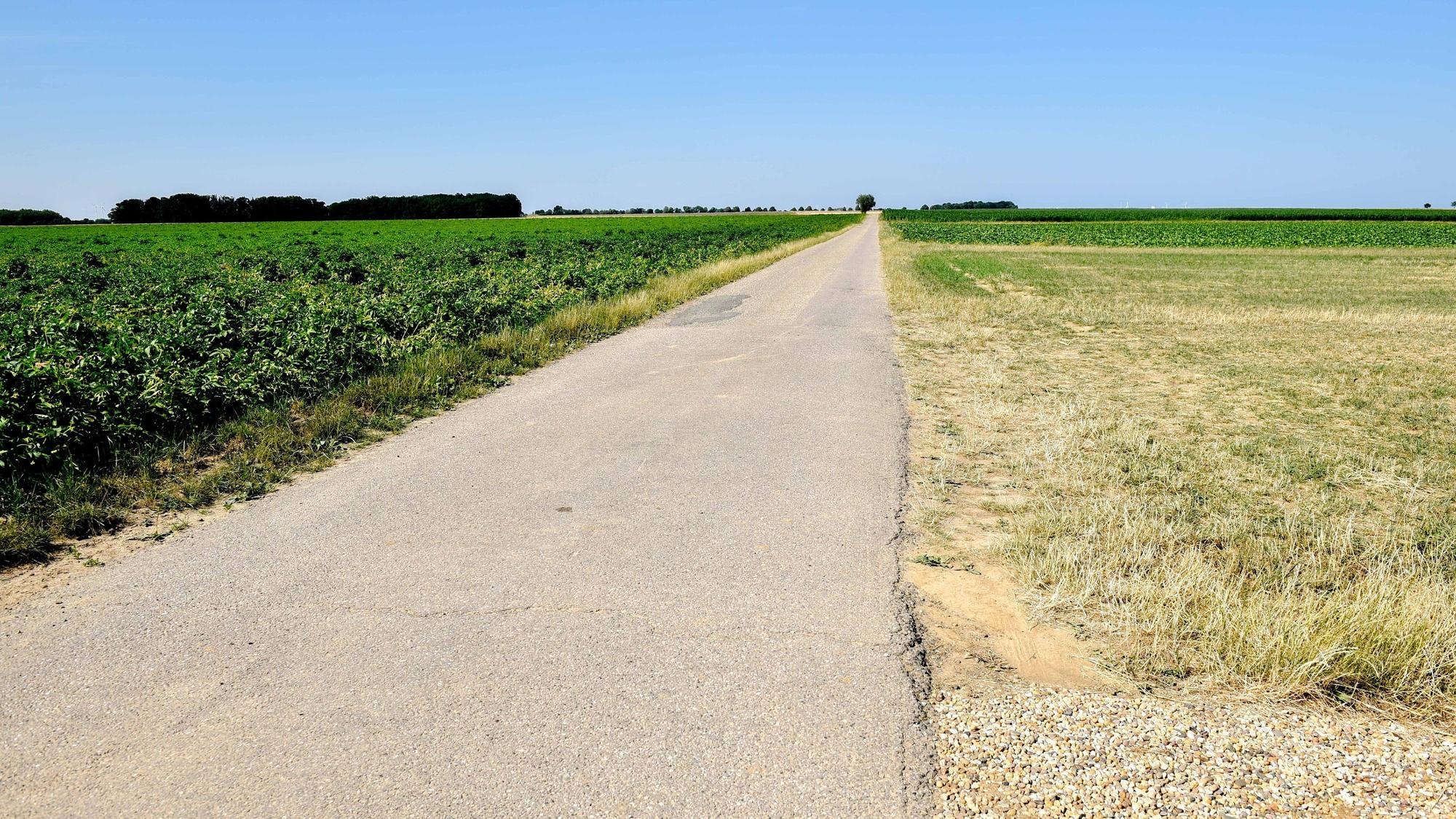 Der Blick schweift am südlichsten Punkt des Rhein-Erft-Kreises über Felder bis zum Horizont, es geht ländlich in Borr und Scheuren zu.