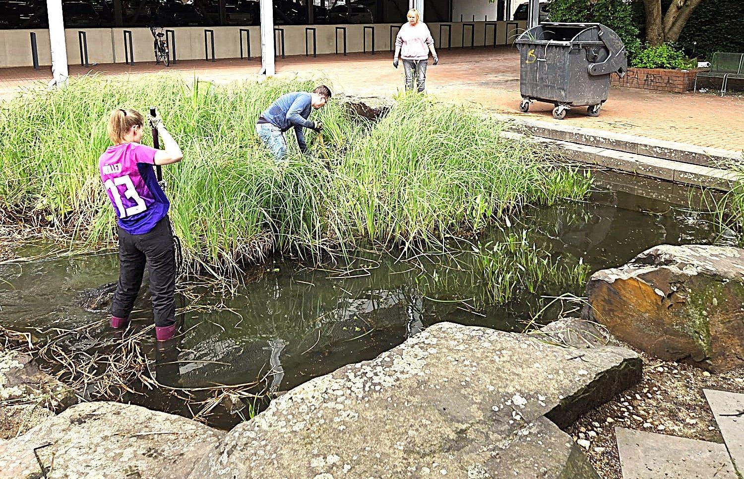 Auf dem Bild sind Mitglieder KG 333 zu sehen, die den Teich vor dem Stadtsaal reinigen.