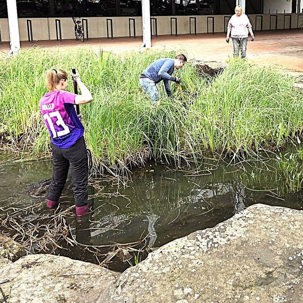 Auf dem Bild sind Mitglieder KG 333 zu sehen, die den Teich vor dem Stadtsaal reinigen.