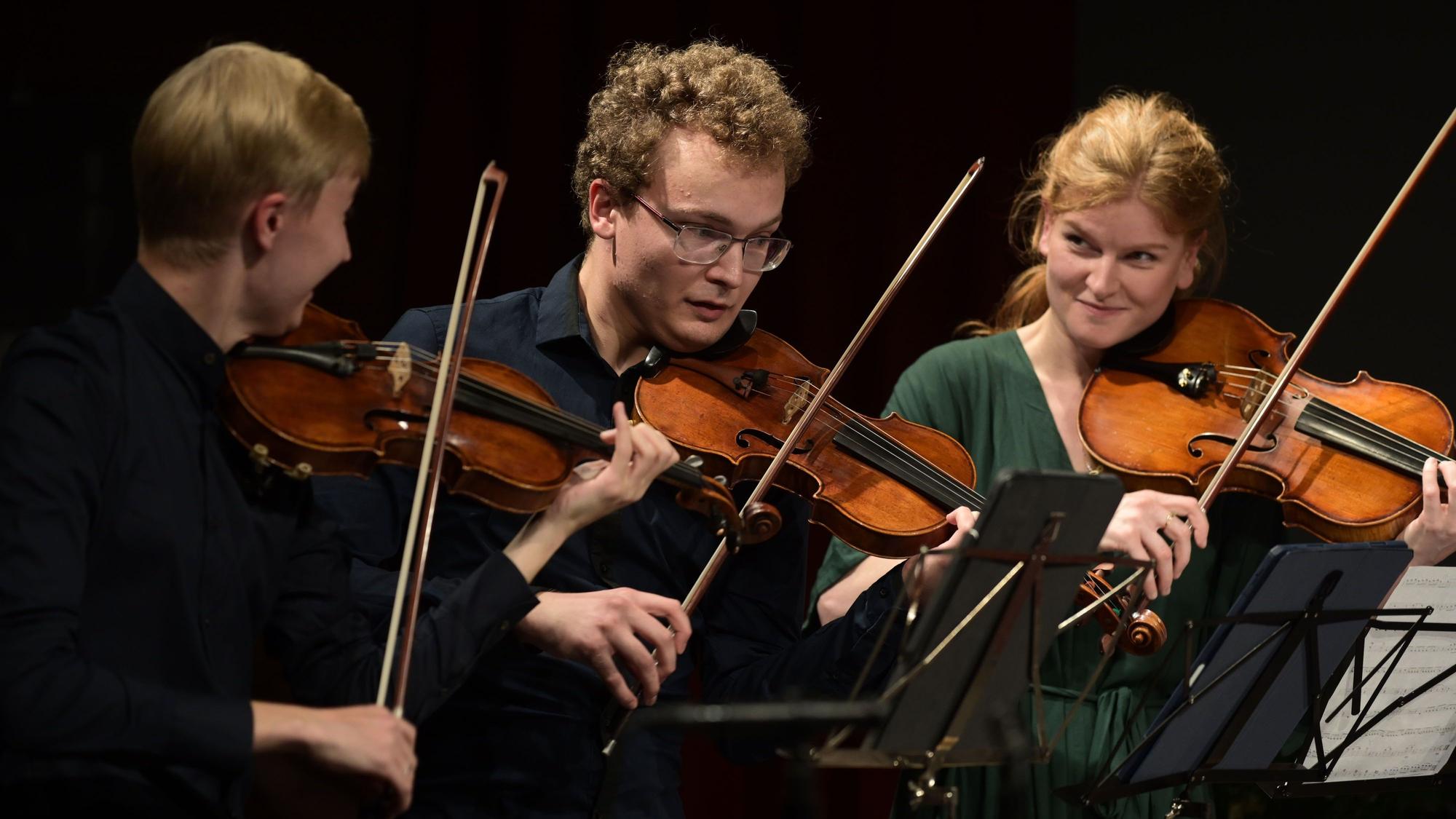 Streichmusiker bei einem Konzert im Rahmen des Klangraum Festivals in Köln-Mülheim.