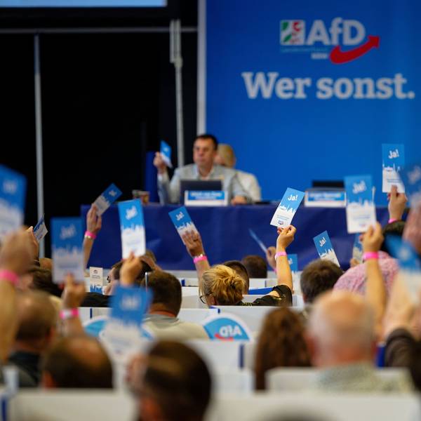 Delegierte stimmen beim Aufstellungsparteitag der AfD ab und halten Stimmkarten hoch.