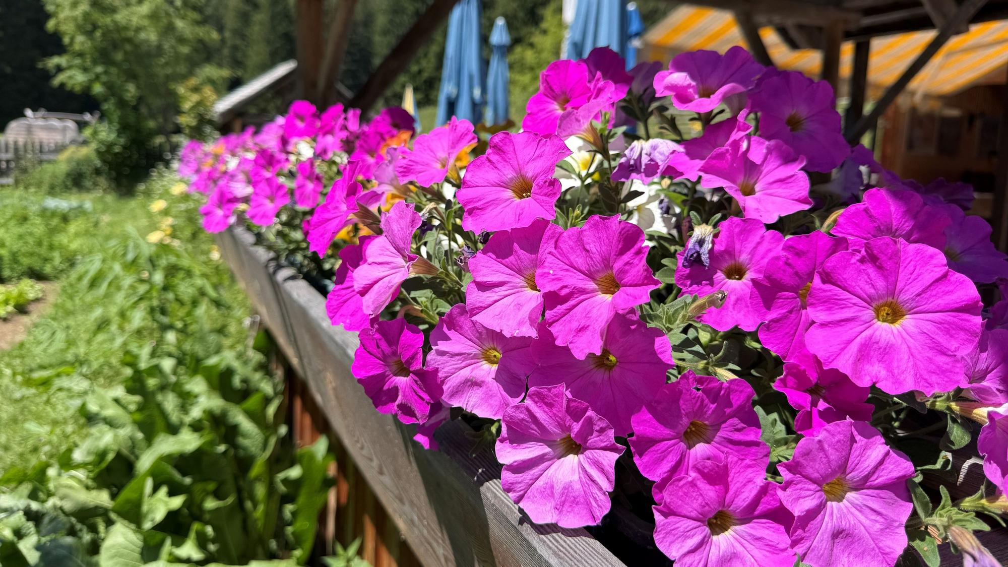 Tolle Farben, interessante perspektiven – beim Fotowettbewerb ist Auge und Präzision gefragt.