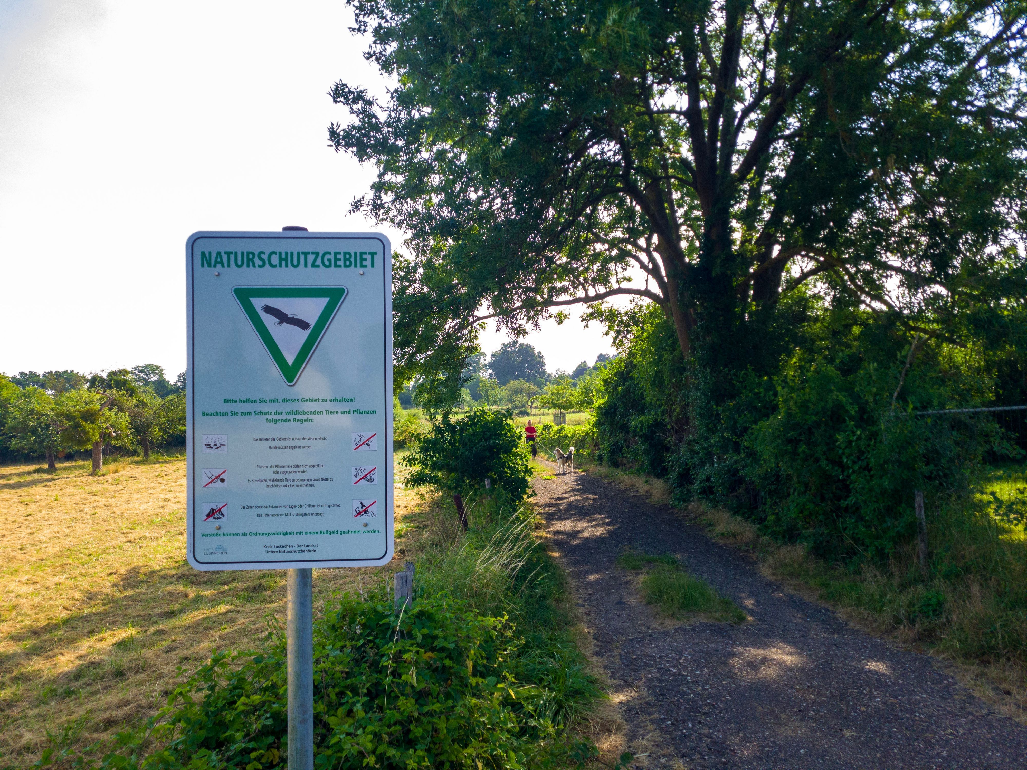 Ein Schild mit der Aufschrift „Naturschutzgebiet“ steht an einem Wanderweg, der an einer Wiese und einem großen Baum entlang führt.