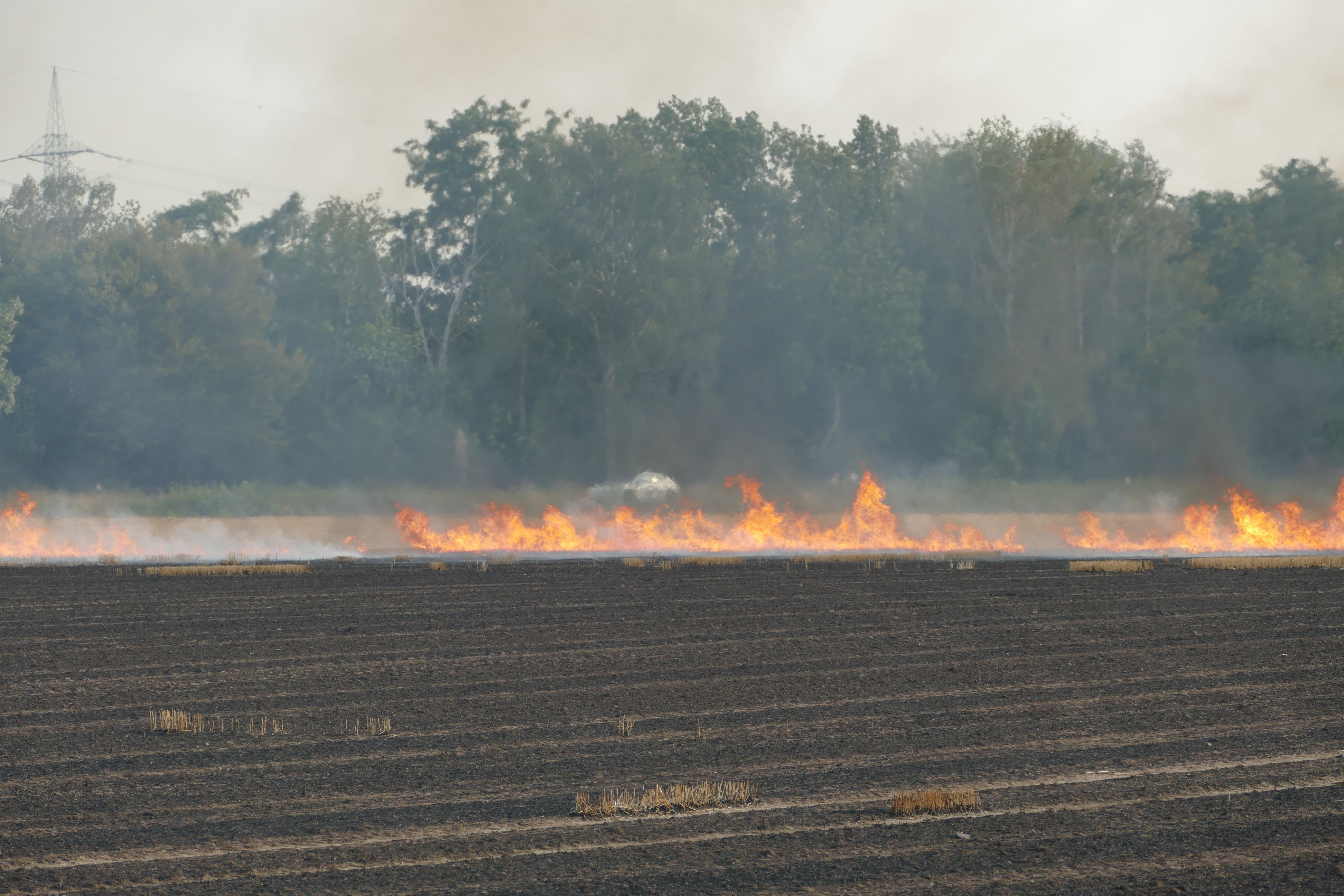 Flammen über einem abgeernteten Feld.