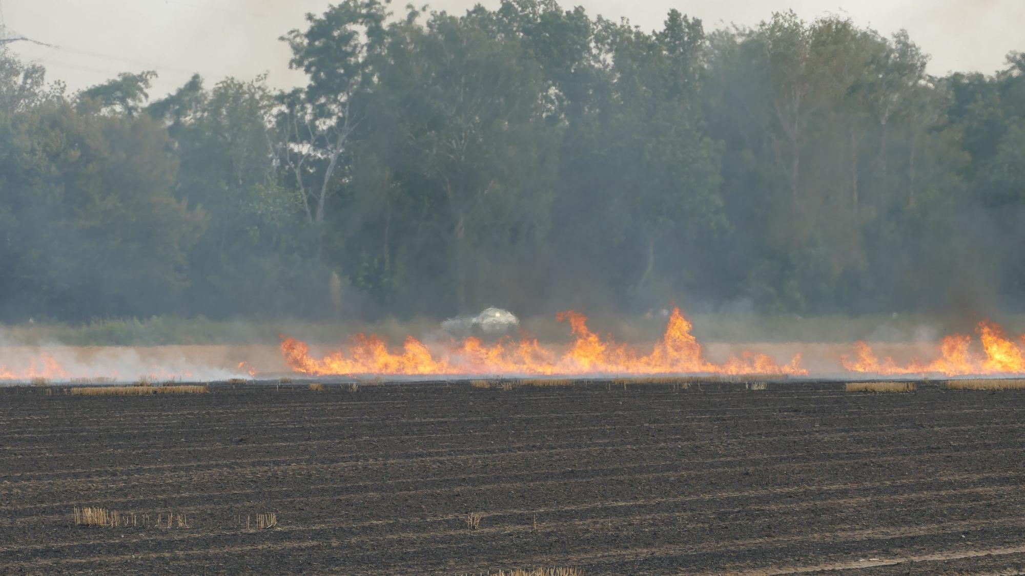 Flammen über einem abgeernteten Feld.