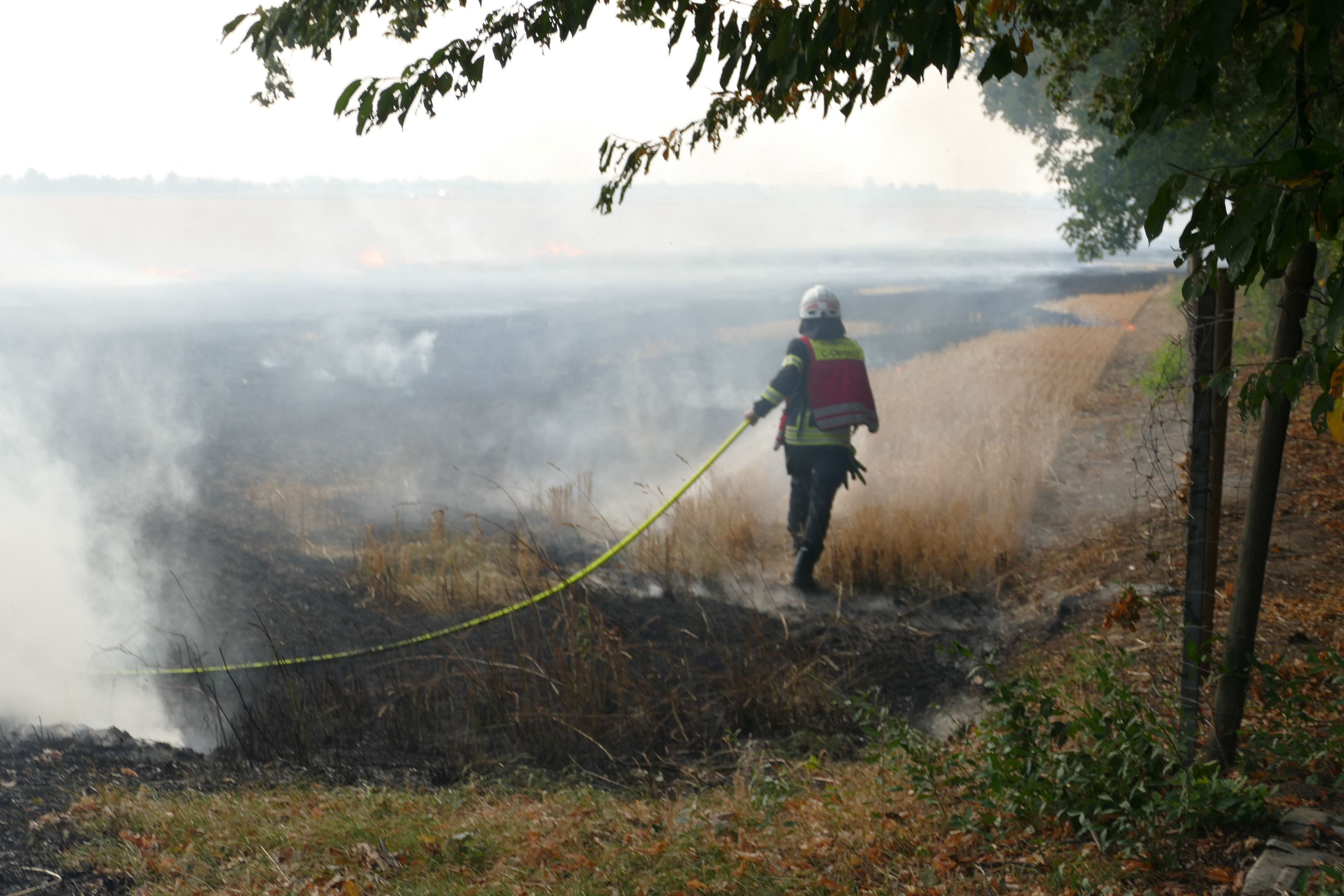 Feuerwehrmann am Waldrand.