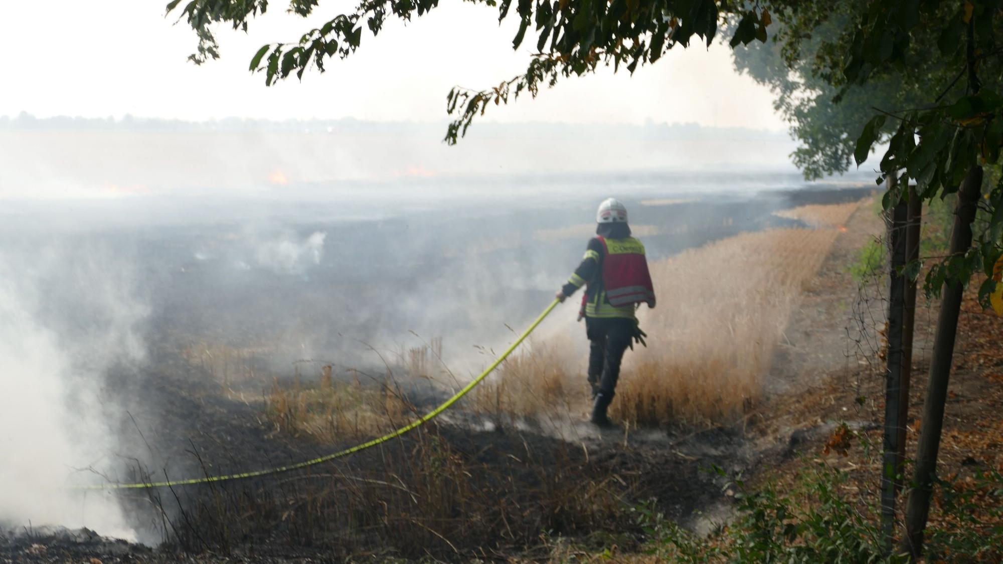 Feuerwehrmann am Waldrand.