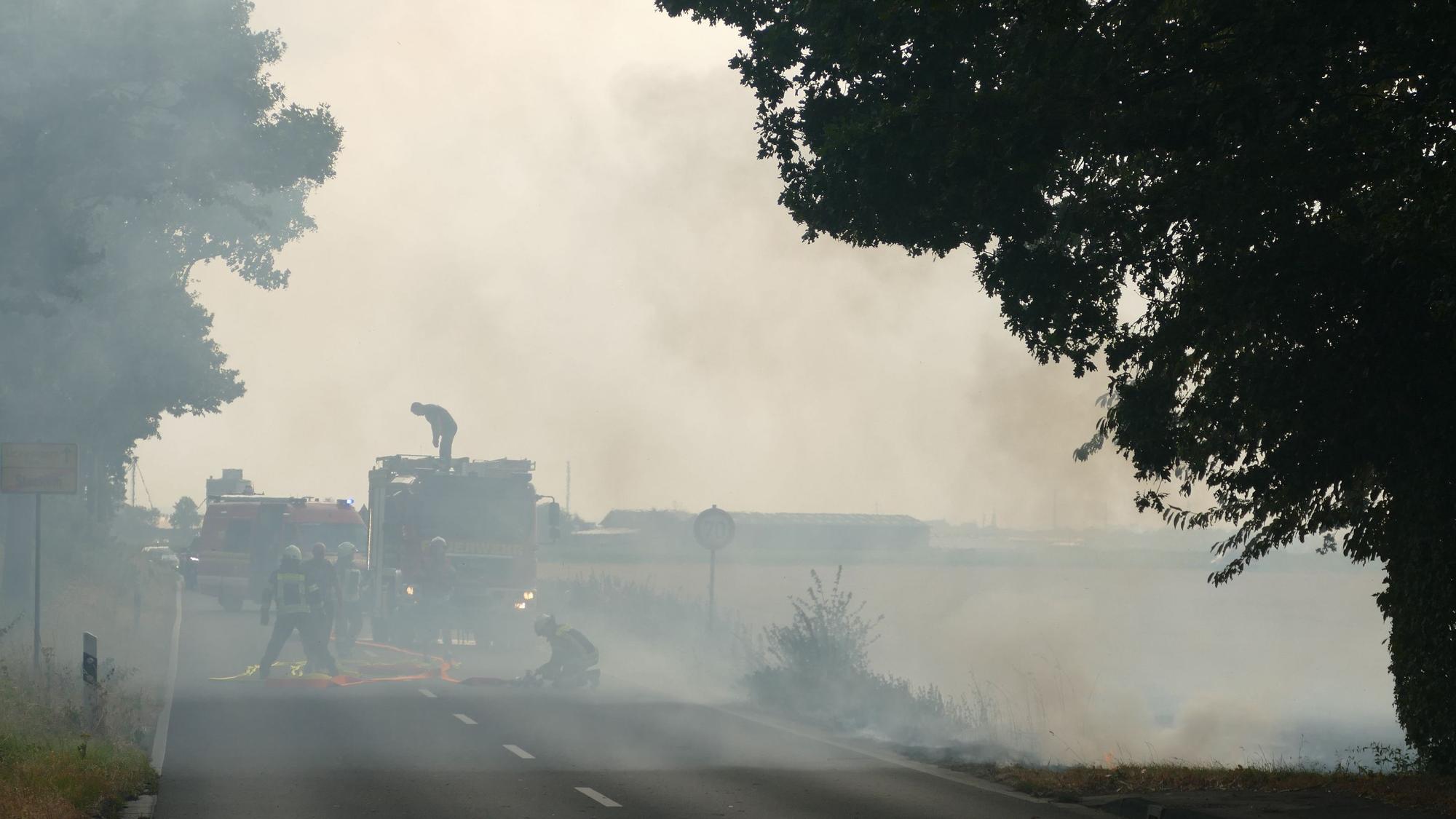 Brandrauch zieht über eine Landstraße, im Qualm sind Feuerwehrfahrzeuge erkennbar.