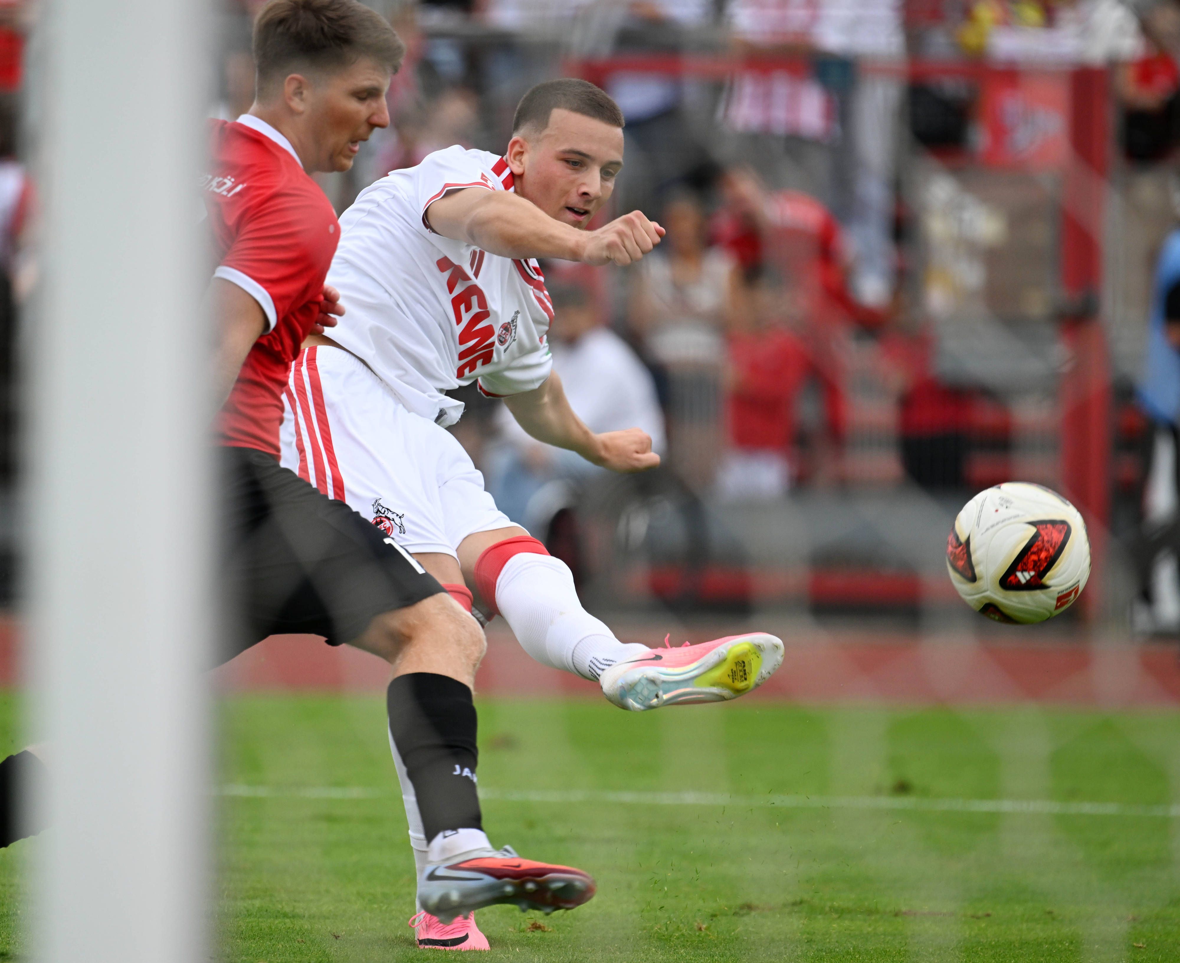 FC-Test-gegen-Rheins-d-Die-Attraktion-des-Tages-sitzt-auf-der-Trib-ne