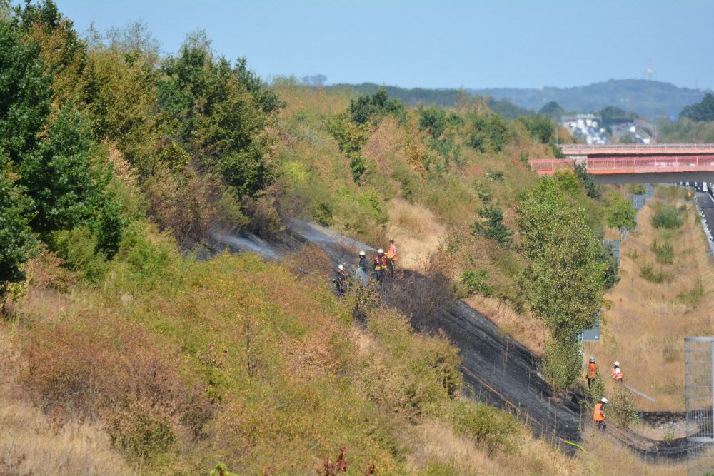 Eine Fläche von rund 3500 Quadratmetern hat bei Kerpen nahe der A4 gebrannt.