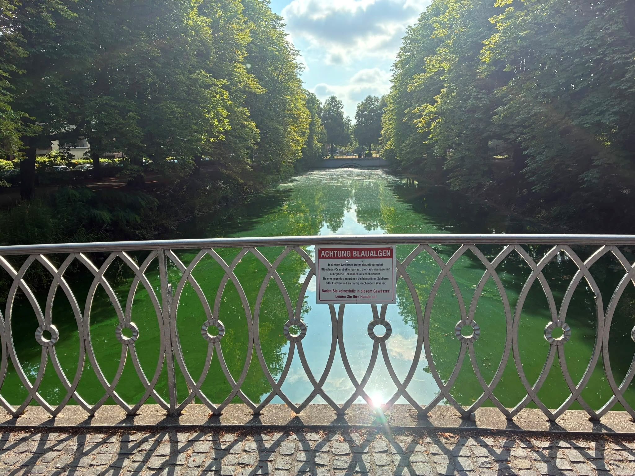 Ein Schild weist auf die Gefahr durch Blaualgen am Clarenbachkanal hin.
